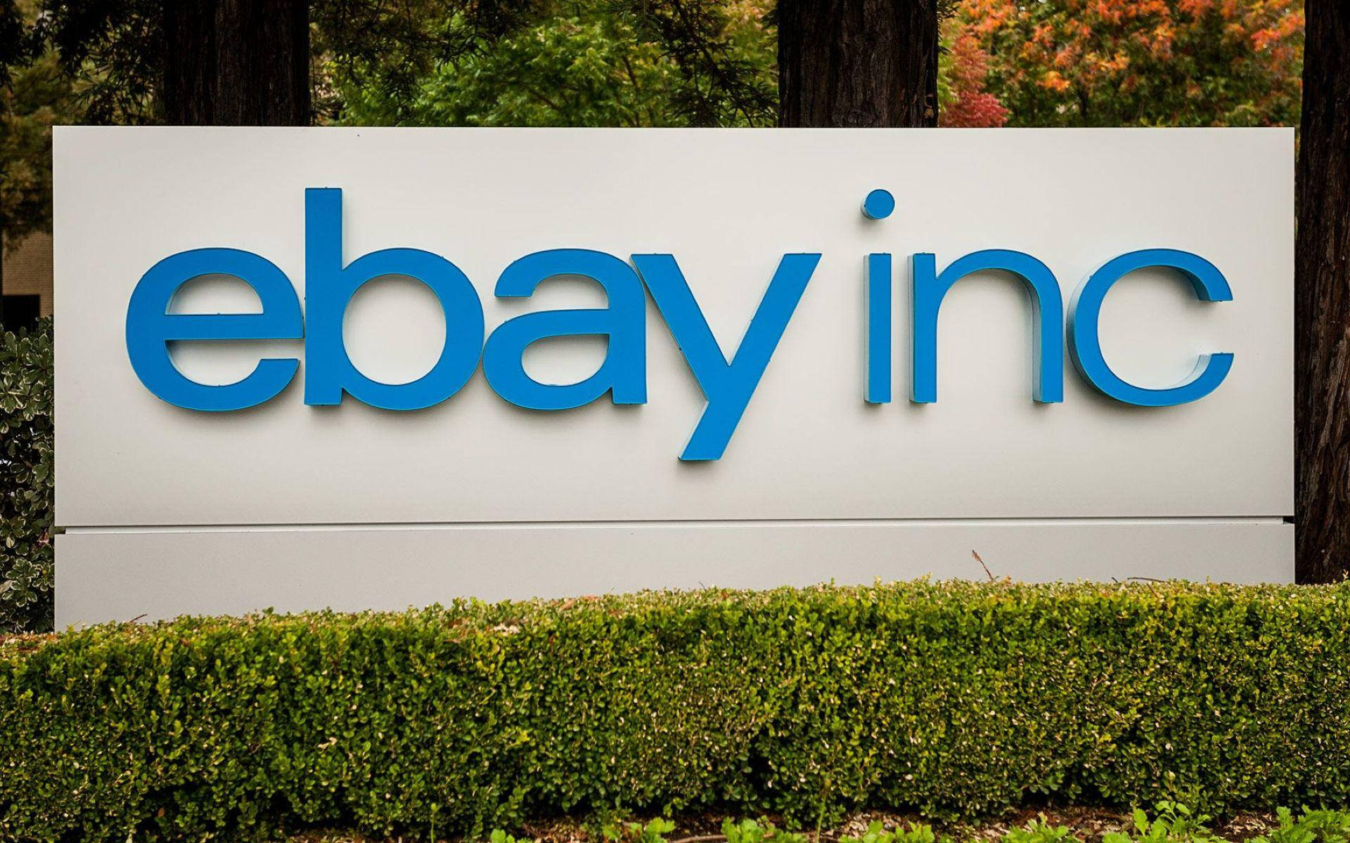 eBay 桌布 壁紙 — 一個大型白色標誌，上面有藍色3D字母拼寫ebay inc，矗立在綠色籬笆和樹木之間。