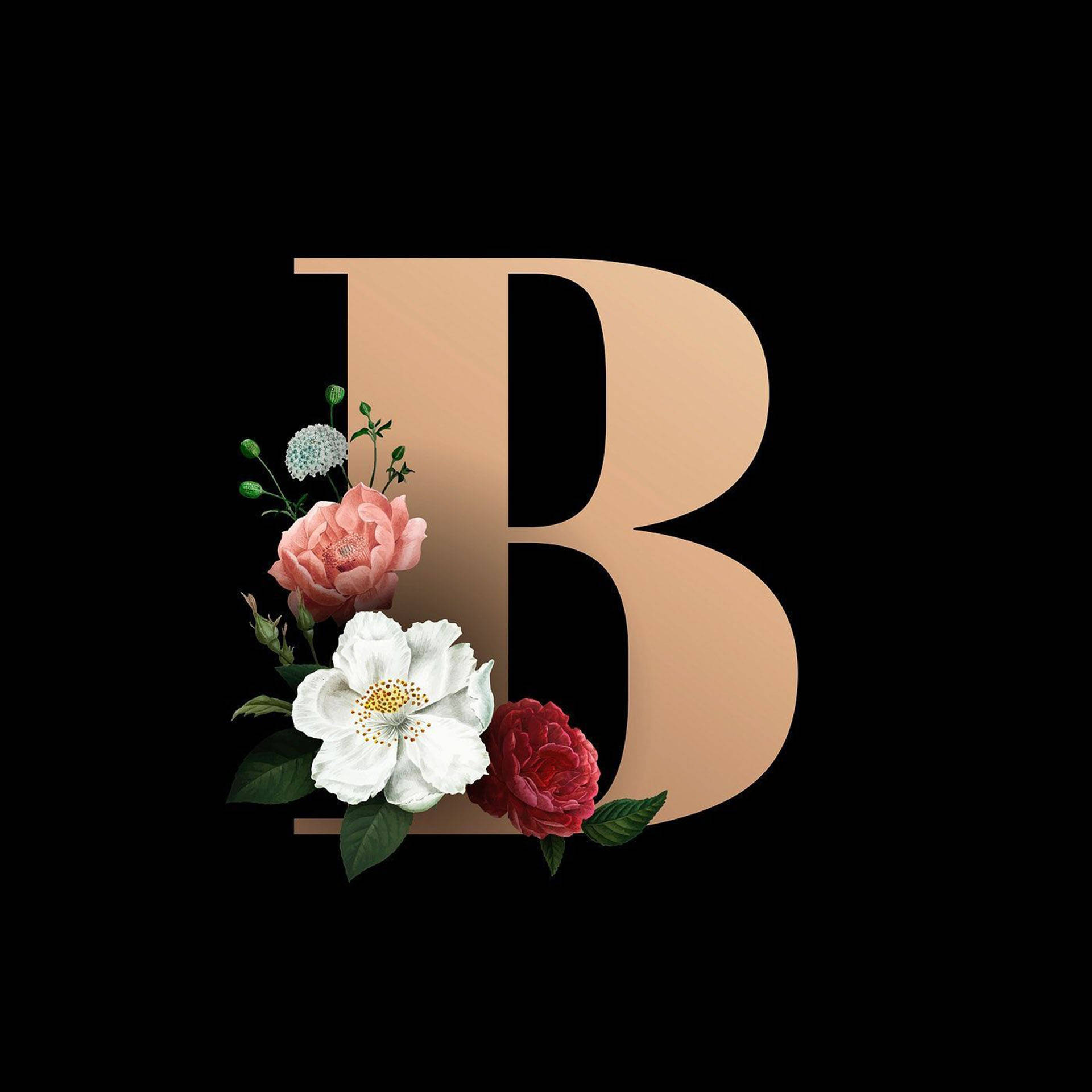 字母B 桌布 壁紙 — 一個大型米色字母B，點綴著粉紅色、白色和紅色的花朵，背景為黑色。