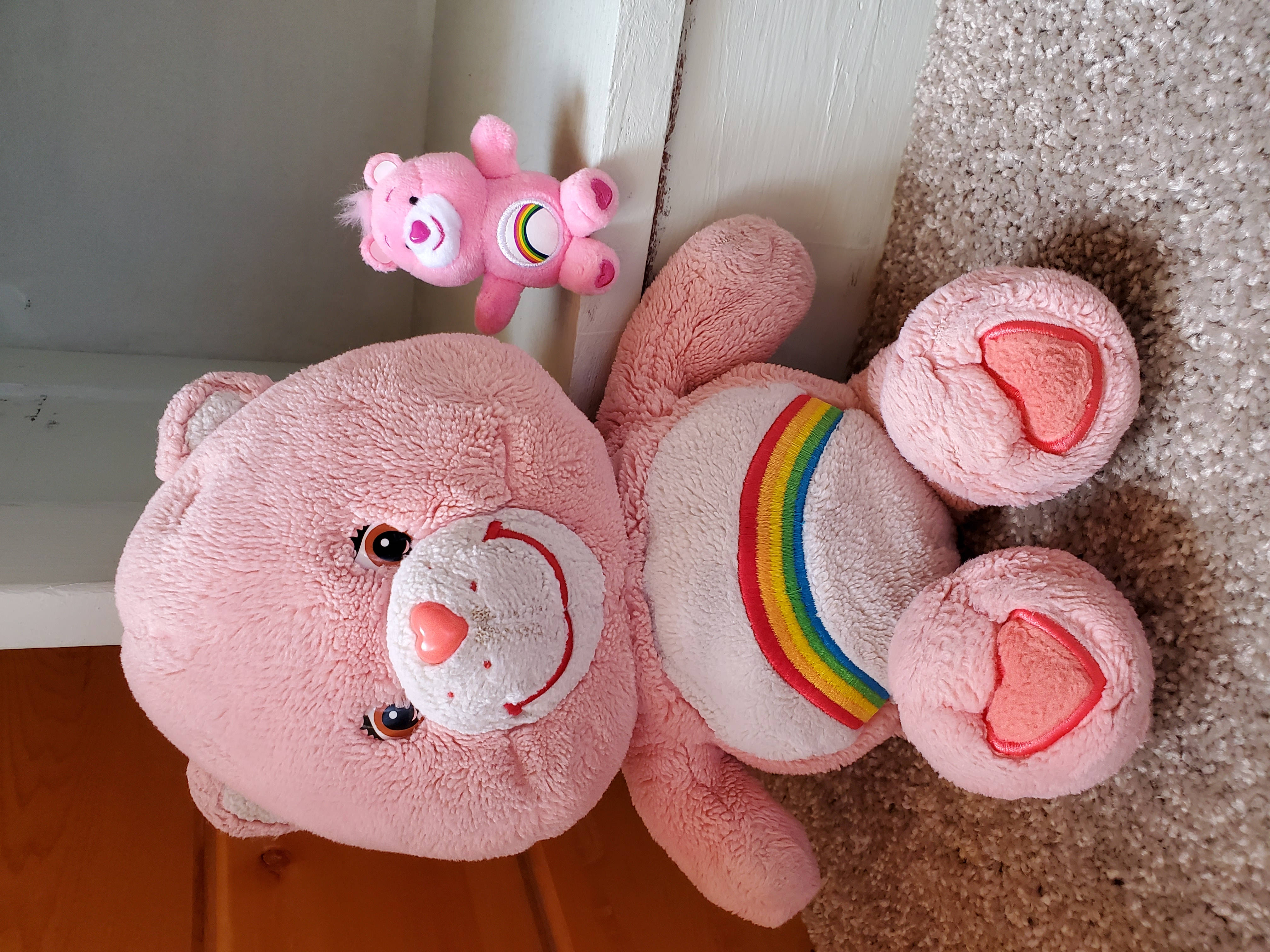 Teddy Bear 桌布 壁紙 — 一個大型粉紅色Care Bear毛絨玩具，腹部有彩虹圖案，躺在地毯上，旁邊有一個細小的粉紅色熊玩具。