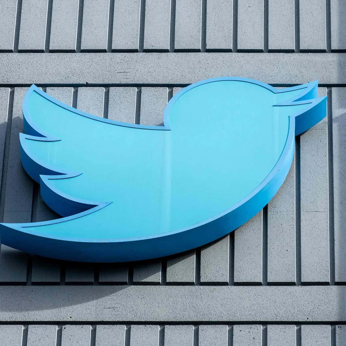Twitter 桌布 壁紙 — 一個大型藍色Twitter鳥標誌安裝在灰色瓷磚牆上，在明亮的日光下。