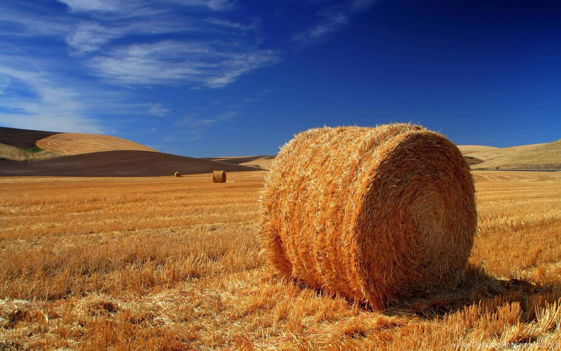 Agriculture 桌布 壁紙 — 一個大型金色乾草捆放在陽光明媚的田野中，背景是帶有縷縷白雲的鮮豔藍天。