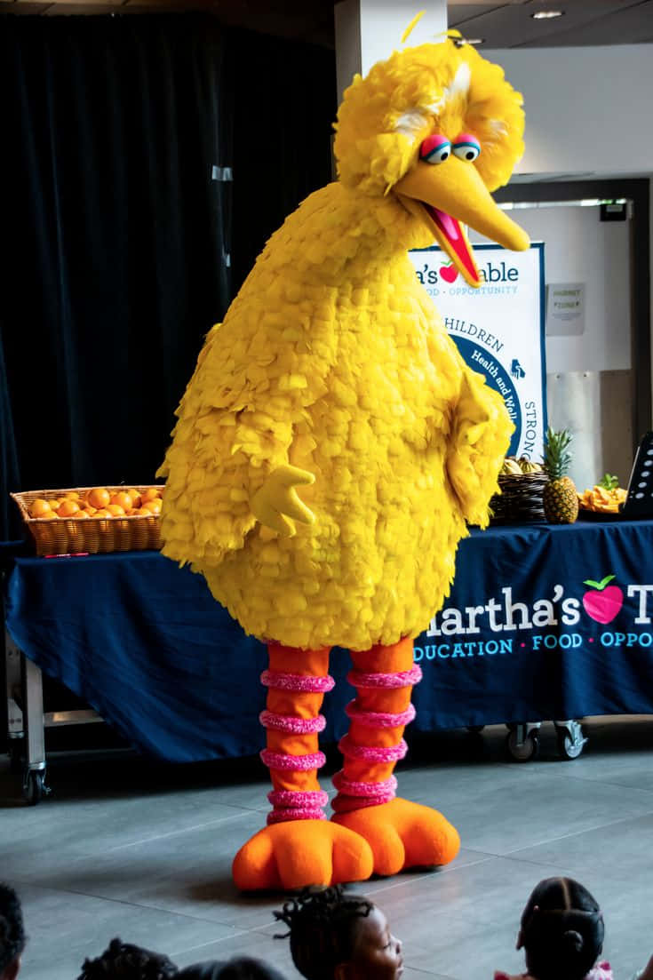 Big Bird 桌布 壁紙 — 一個大型黃色大鳥吉祥物站在慈善活動的舞台上，下方有孩子們觀看。