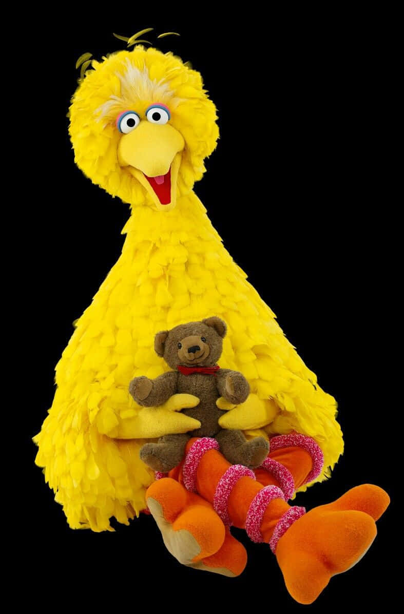 Big Bird 桌布 壁紙 — 一個大型黃色羽毛木偶，咧嘴大笑，在黑色背景前抱著一隻棕色的小泰迪熊。