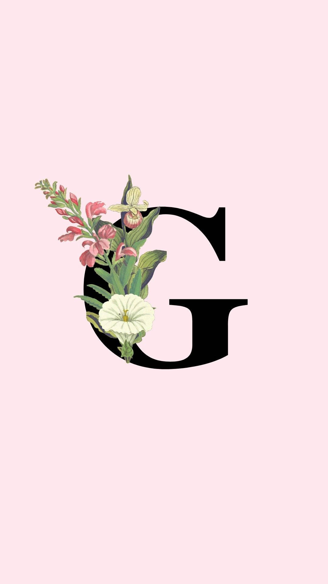 g 桌布 壁紙 — 一個大型黑色字母G，飾有粉紅色和白色花朵，背景為柔和粉紅色。
