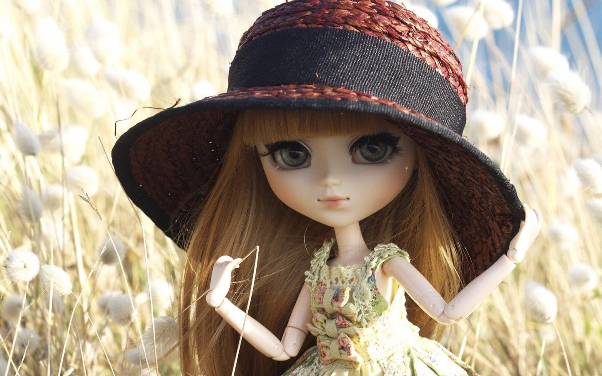 Doll 桌布 壁紙 — 一個大眼睛、戴寬邊帽的洋娃娃站在陽光普照的高大蓬鬆草地上。