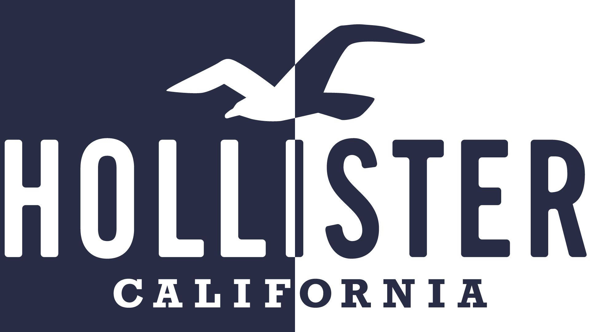 Hollister 桌布 壁紙 — 一個大膽的Hollister California標誌垂直分割，海鷗剪影在文字上方飛翔。