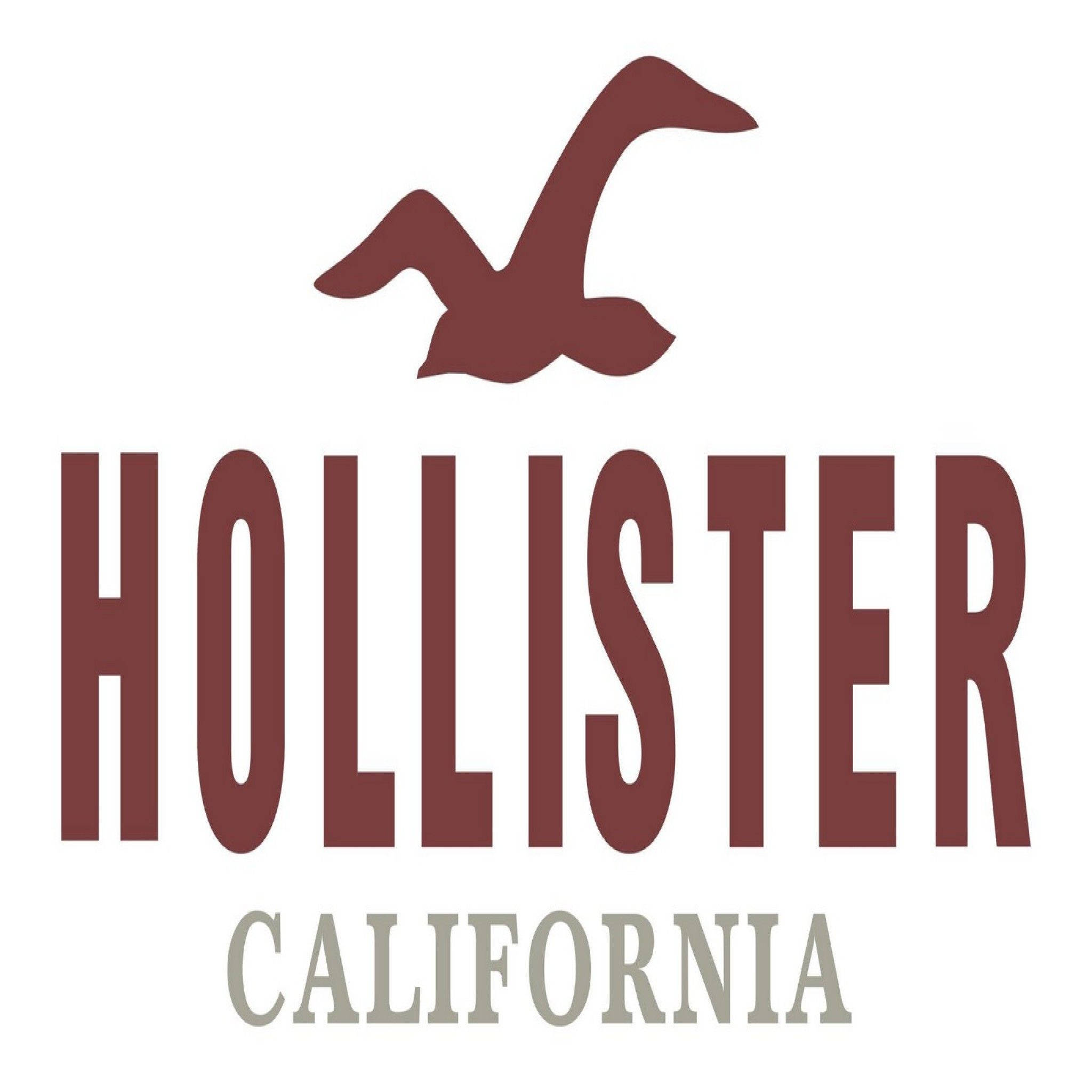 Hollister 桌布 壁紙 — 一個大膽的栗色Hollister標誌，品牌名稱上方有飛鳥剪影，下方有California文字。