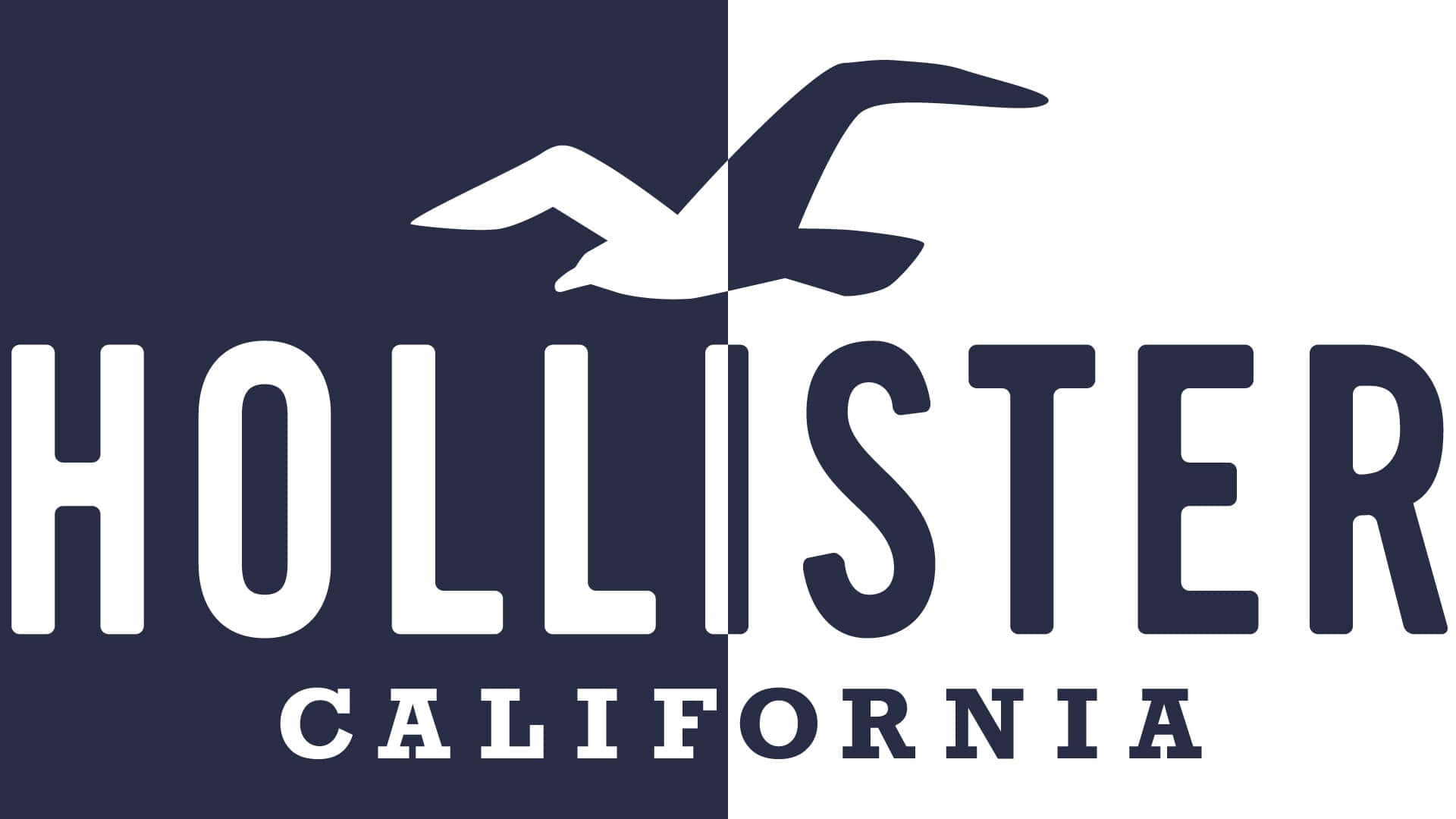 hollister 桌布 壁紙 — 一個大膽的標誌，採用海軍藍和白色分割背景，上方有一隻飛翔的海鷗，下方是 'HOLLISTER' 和 'CALIFORNIA' 字樣。
