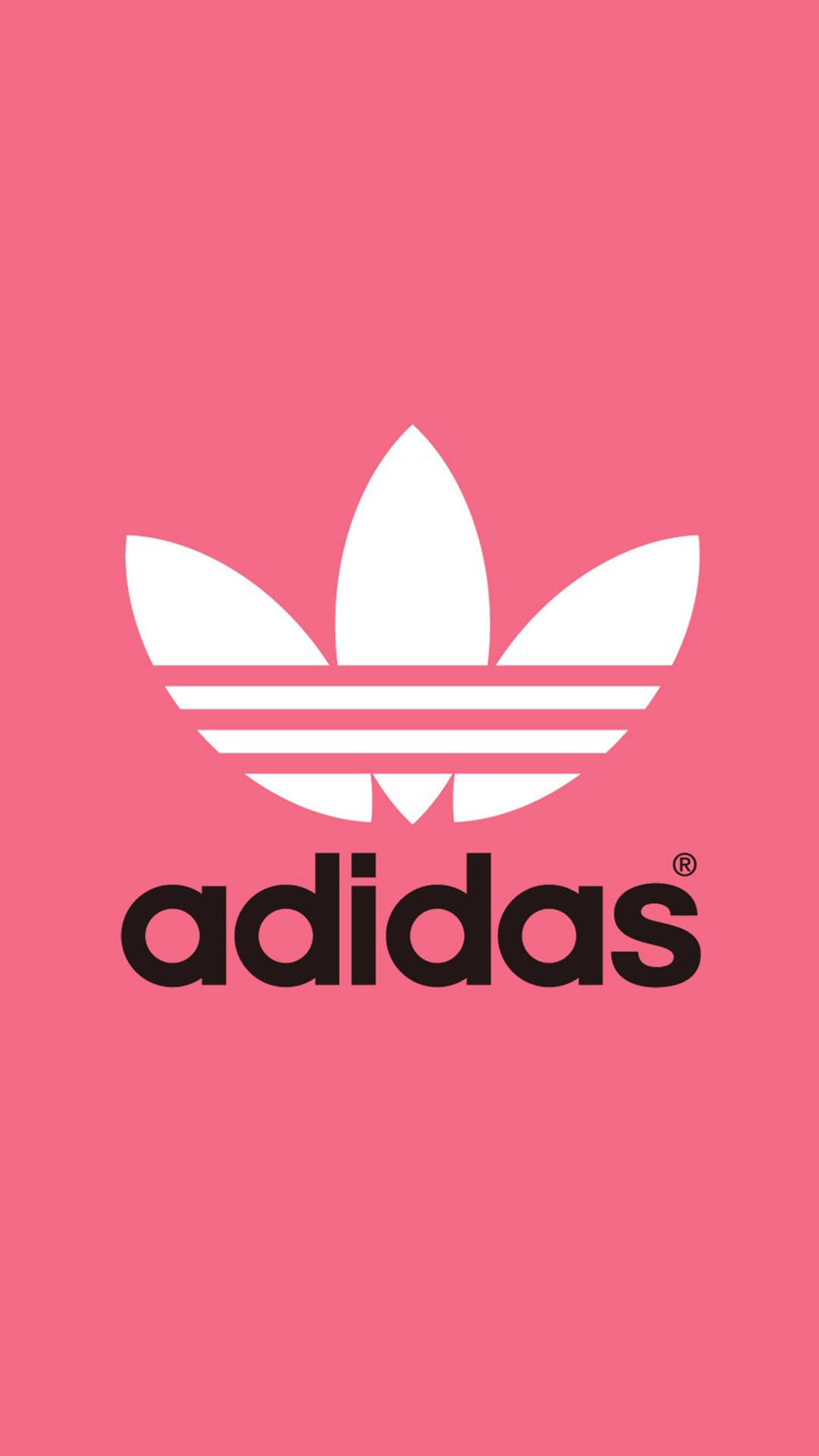 超炫 iPhone 桌布 壁紙 — 一個大膽的白色Adidas三葉草標誌和品牌名稱居中在純粉色背景上。