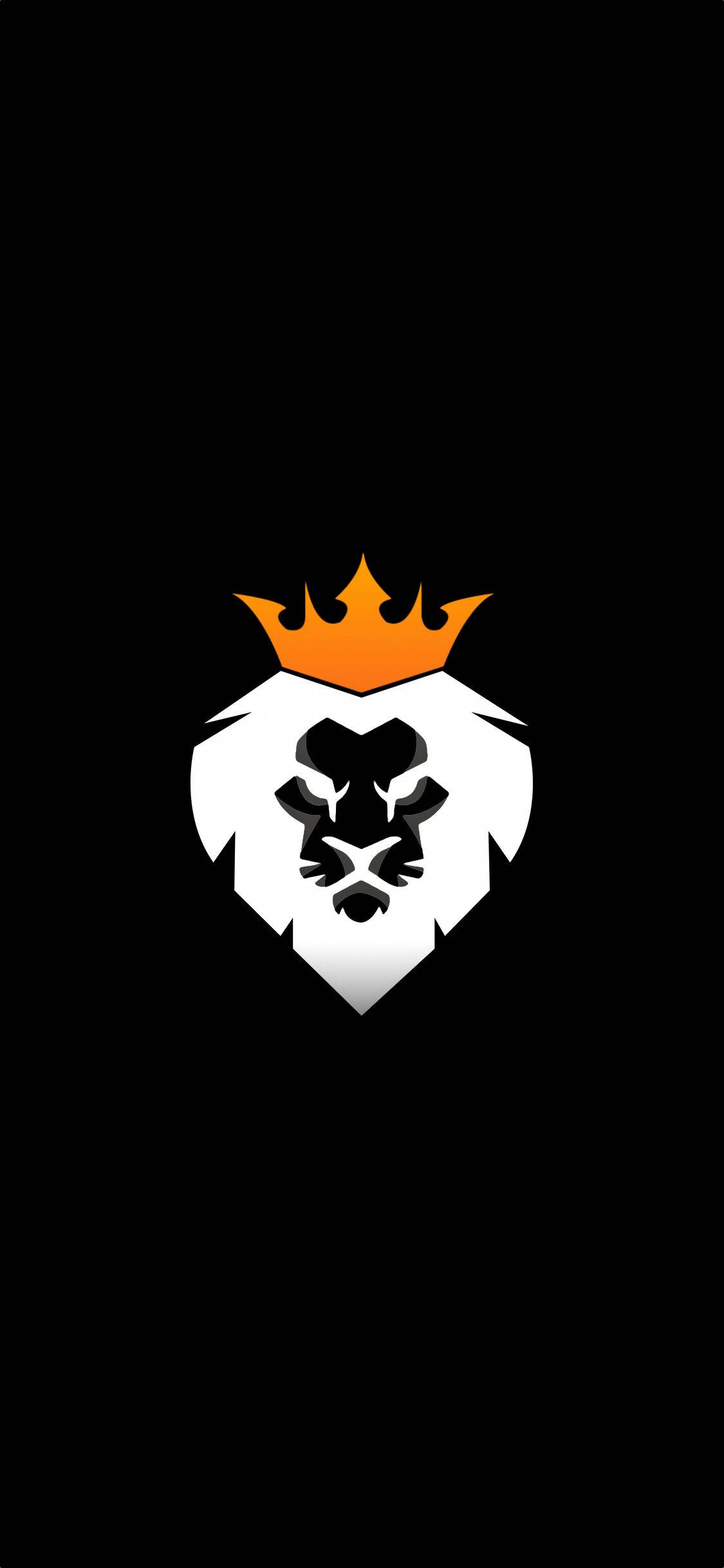 Lion Head 桌布 壁紙 — 一個大膽的白色獅子頭，戴著金色皇冠，位於黑色背景中央。