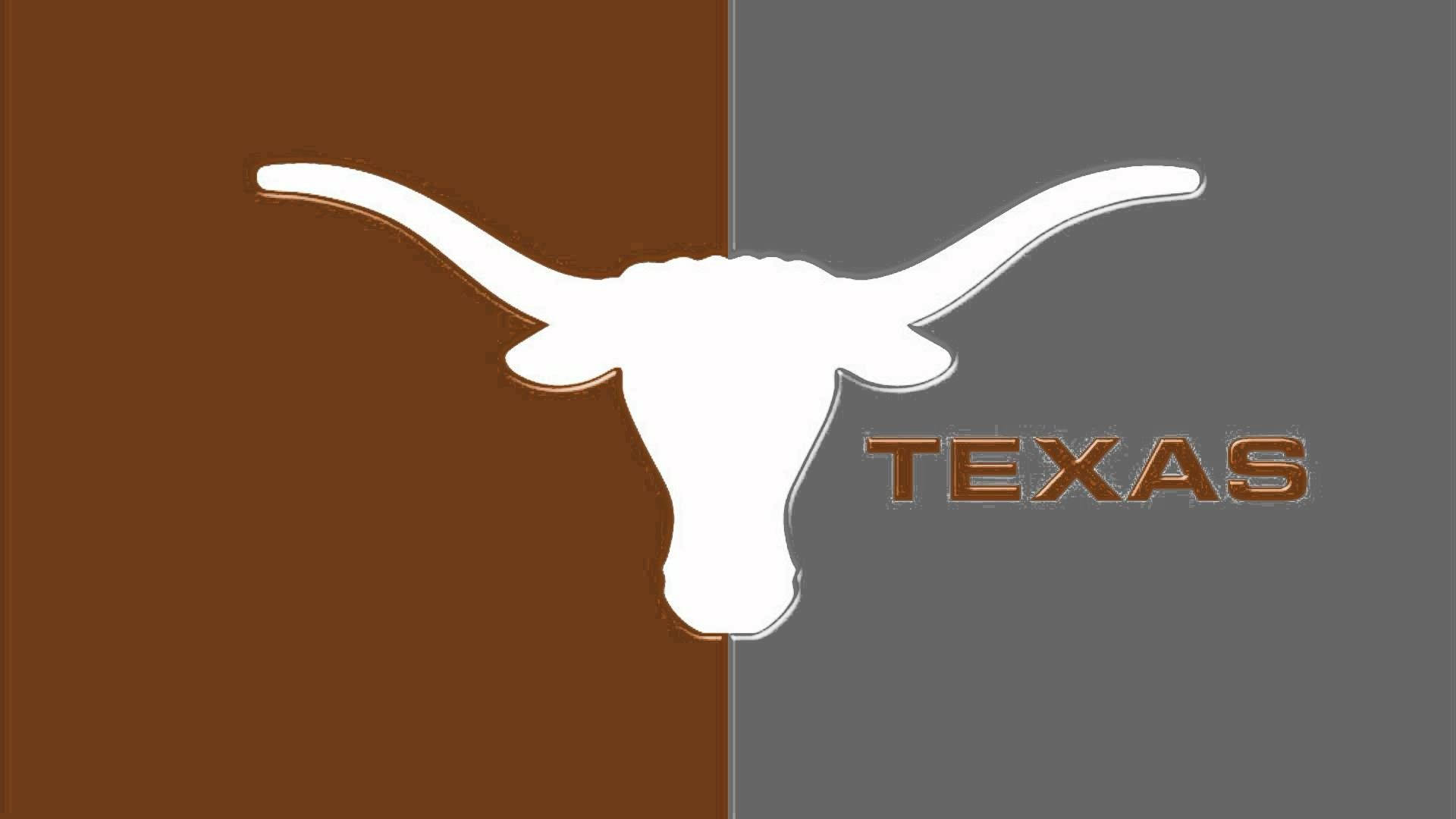 Texas Longhorn 桌布 壁紙 — 一個大膽的白色長角牛剪影，橫跨棕色和灰色背景，帶有棕色的 'TEXAS' 文字。