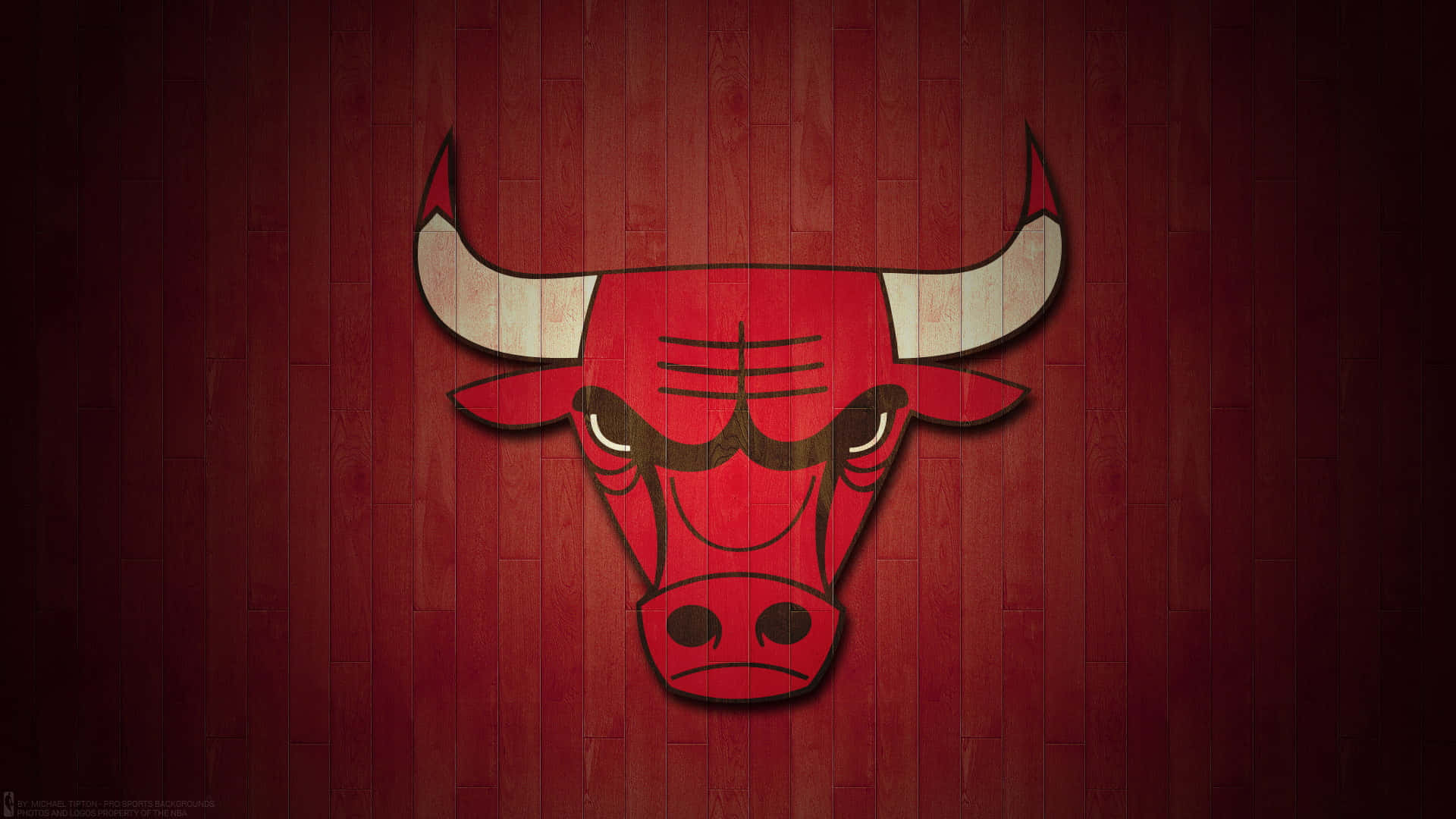 NBA 桌布 壁紙 — 一個大膽的紅色公牛標誌，帶有白色角，在深色木地板背景前直視前方。