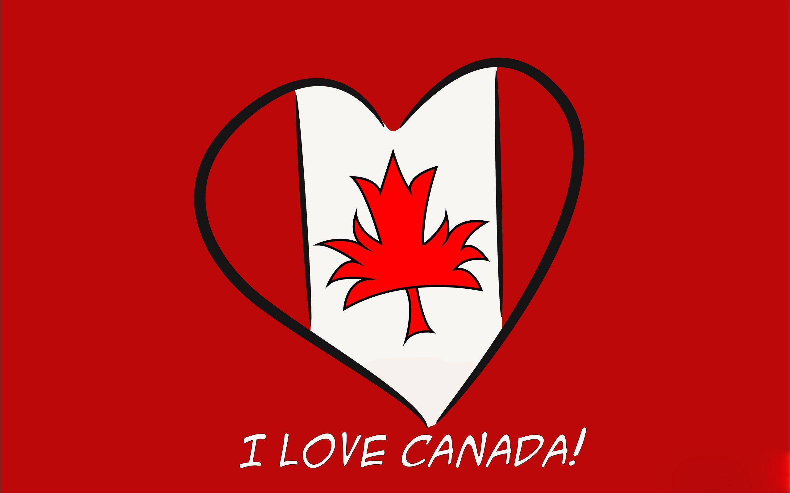 Canada Day 桌布 壁紙 — 一個大膽的紅色心形，形狀像加拿大國旗，白色條紋中央有紅色楓葉，背景為純紅色，下方有文字。