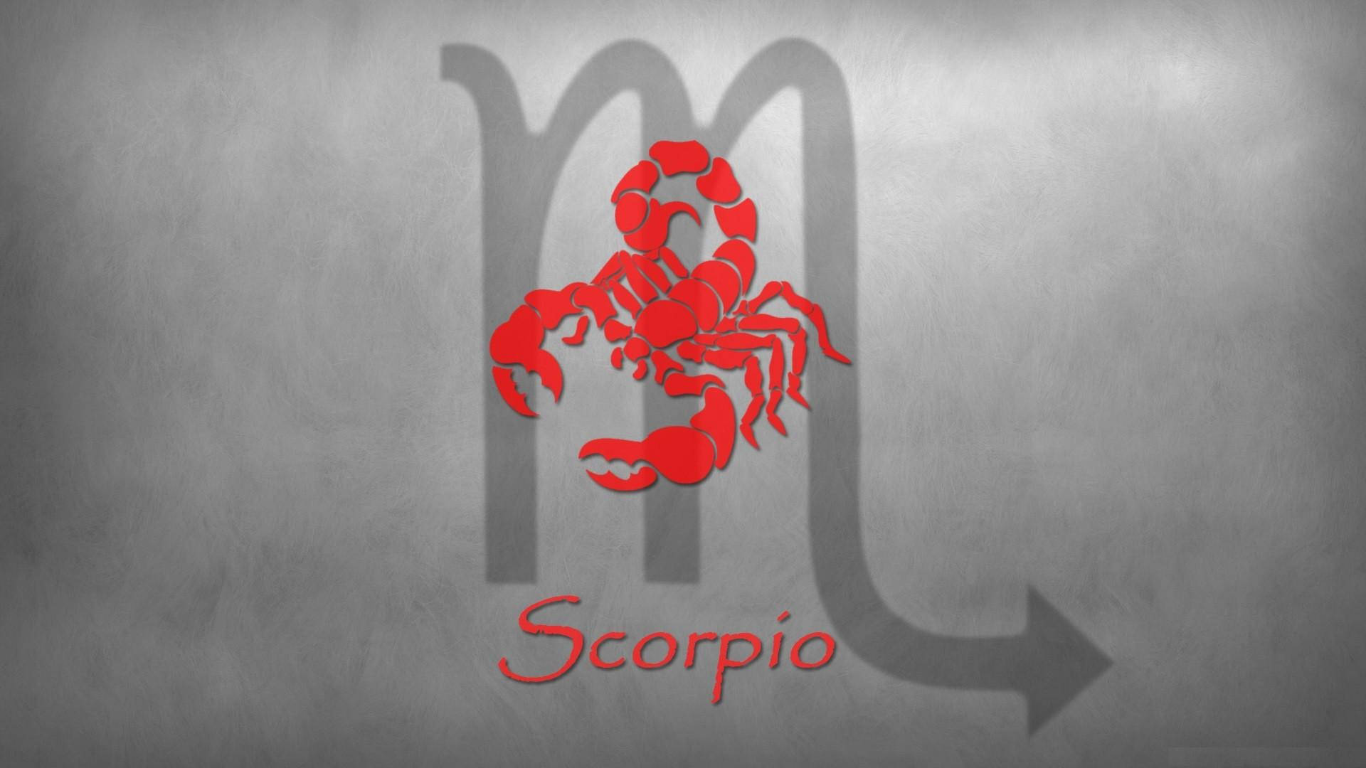 Scorpio 桌布 壁紙 — 一個大膽的紅色蠍子標誌在紋理灰色牆壁上投射出天蠍座符號的影子，下方有Scorpio字樣。