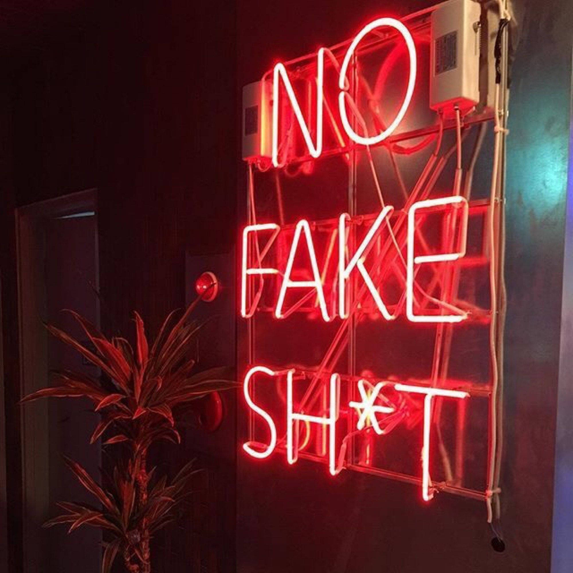 美學 桌布 壁紙 — 一個大膽的紅色霓虹燈牌，上面寫著「NO FAKE SH*T」，在黑暗的牆壁上發光，旁邊有一盆盆栽，營造出陰鬱的室內氛圍。