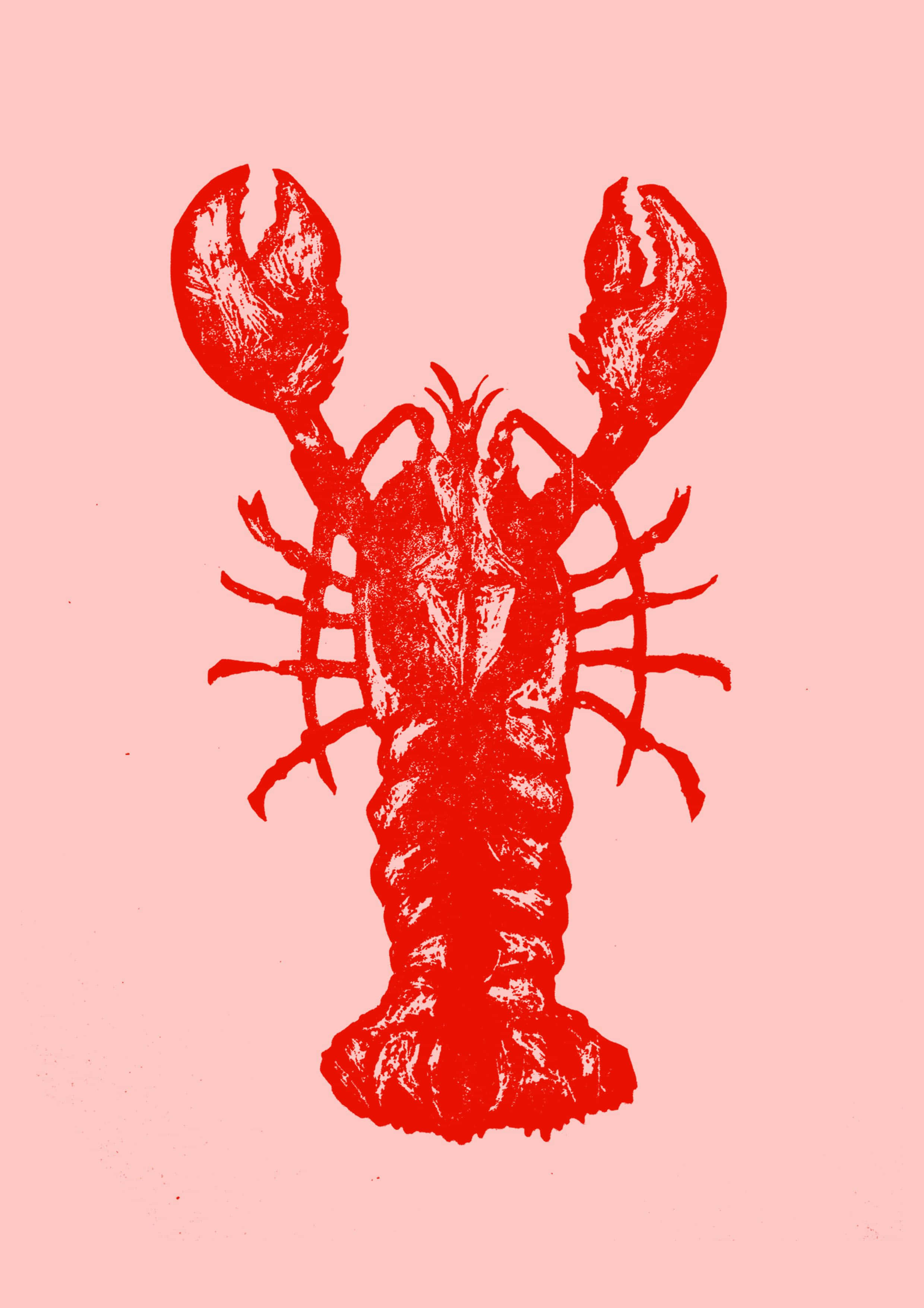 Lobster 桌布 壁紙 — 一個大膽的紅色龍蝦插圖，帶有紋理筆觸，居中於柔和的粉紅色背景上。