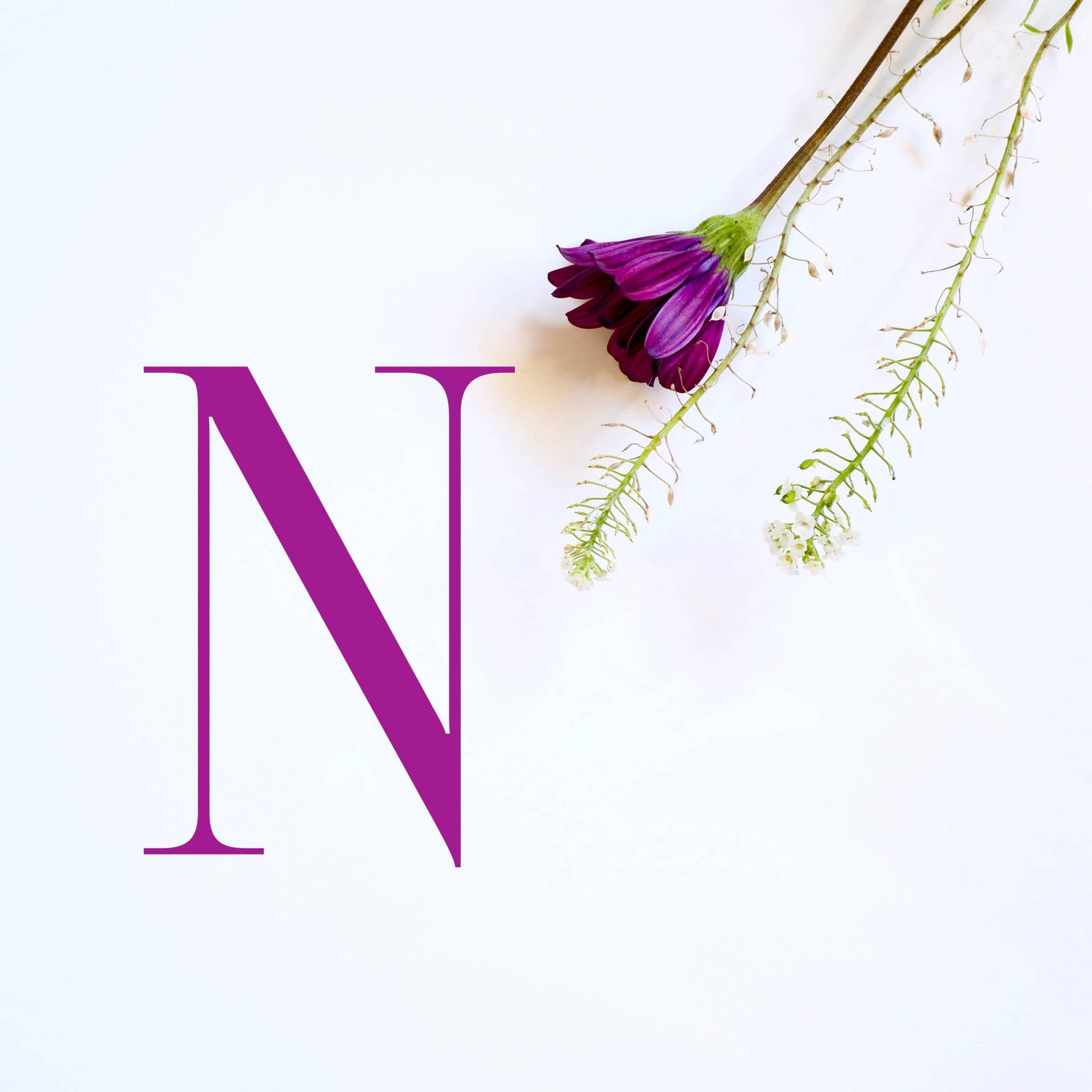 字母 N 桌布 壁紙 — 一個大膽的紫色字母N，旁邊有一朵精緻的紫色花和綠色莖，背景是潔淨的白色。