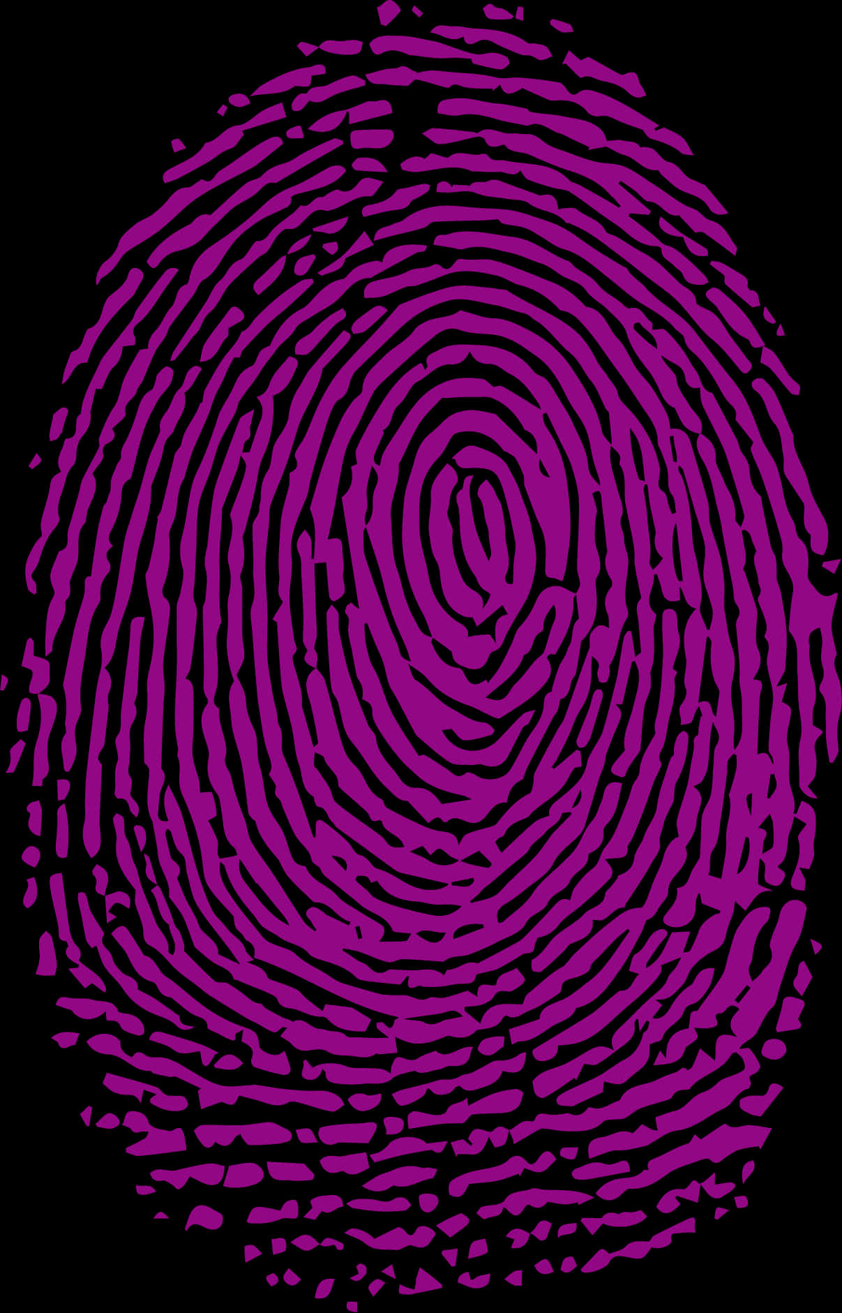 Fingerprint 桌布 壁紙 — 一個大膽的紫色指紋在純黑背景上旋轉，形成引人注目的圖形設計。