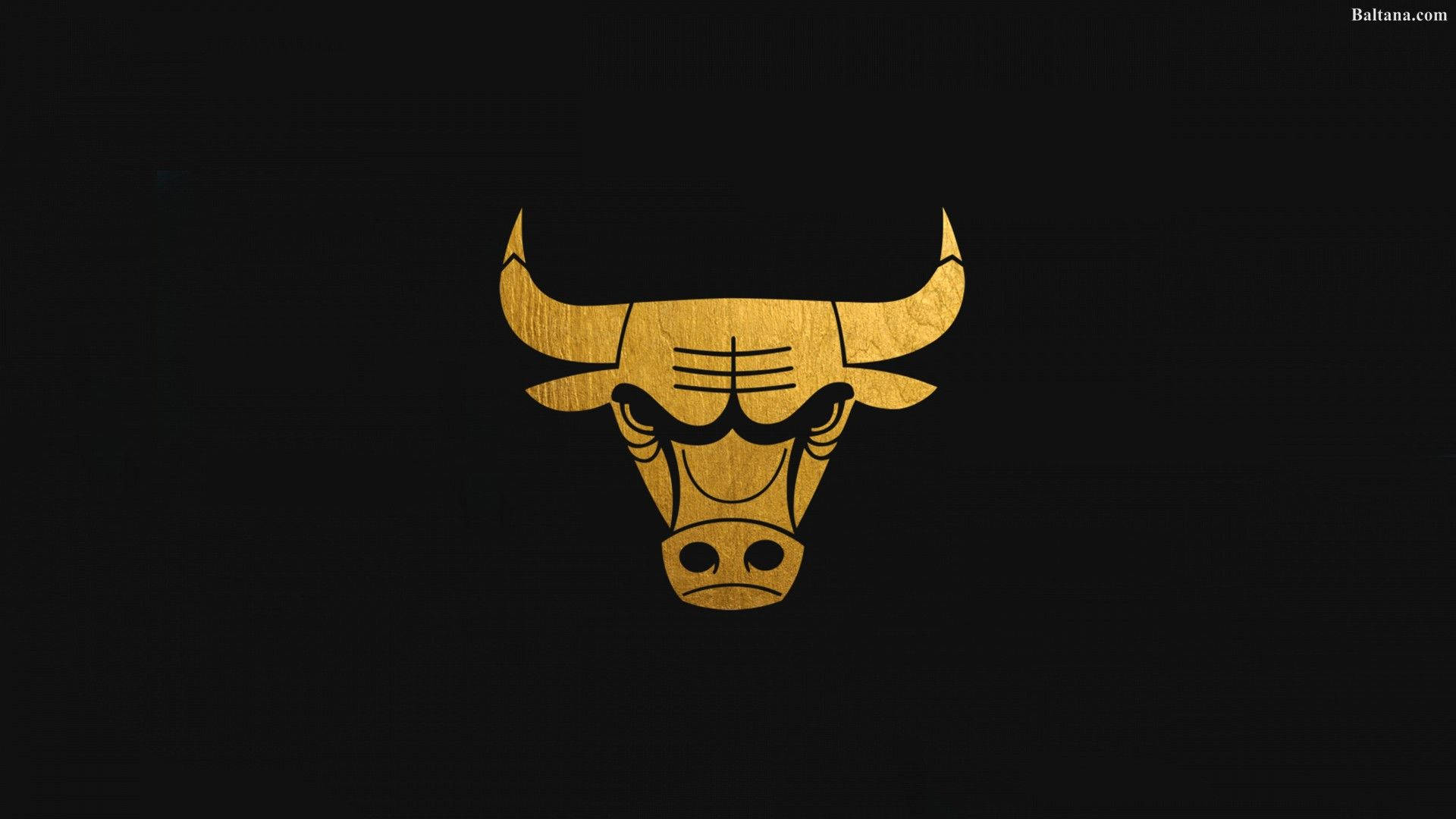 Chicago Bulls 桌布 壁紙 — 一個大膽的金色公牛頭標誌，居中於帶有金屬紋理的純黑色背景上。