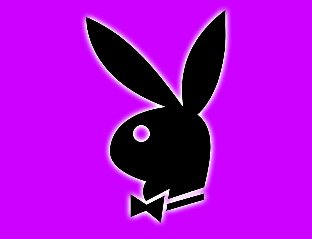 花花公子 桌布 壁紙 — 一個大膽的黑色Playboy兔子剪影，配以蝴蝶結，在充滿活力的紫色背景上發光。