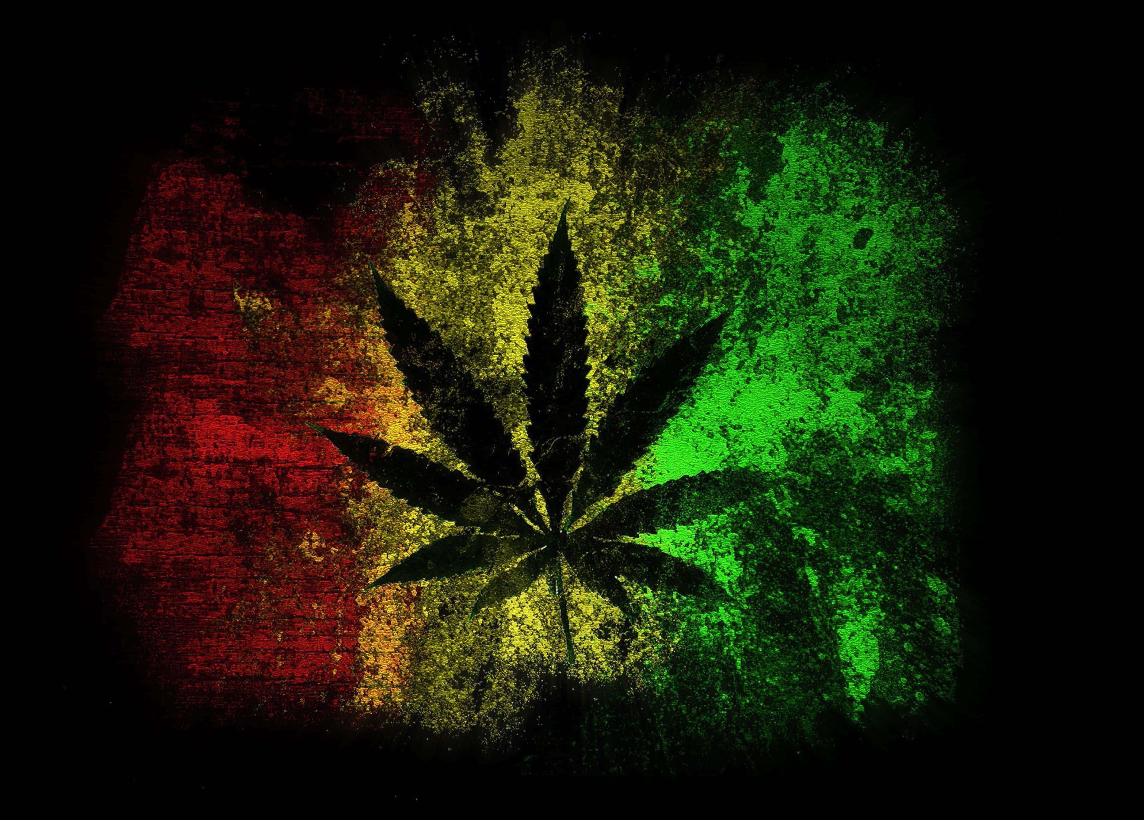 Pot Leaf 桌布 壁紙 — 一個大膽的黑色大麻葉剪影，立於粗糙紋理的紅、黃、綠背景上。