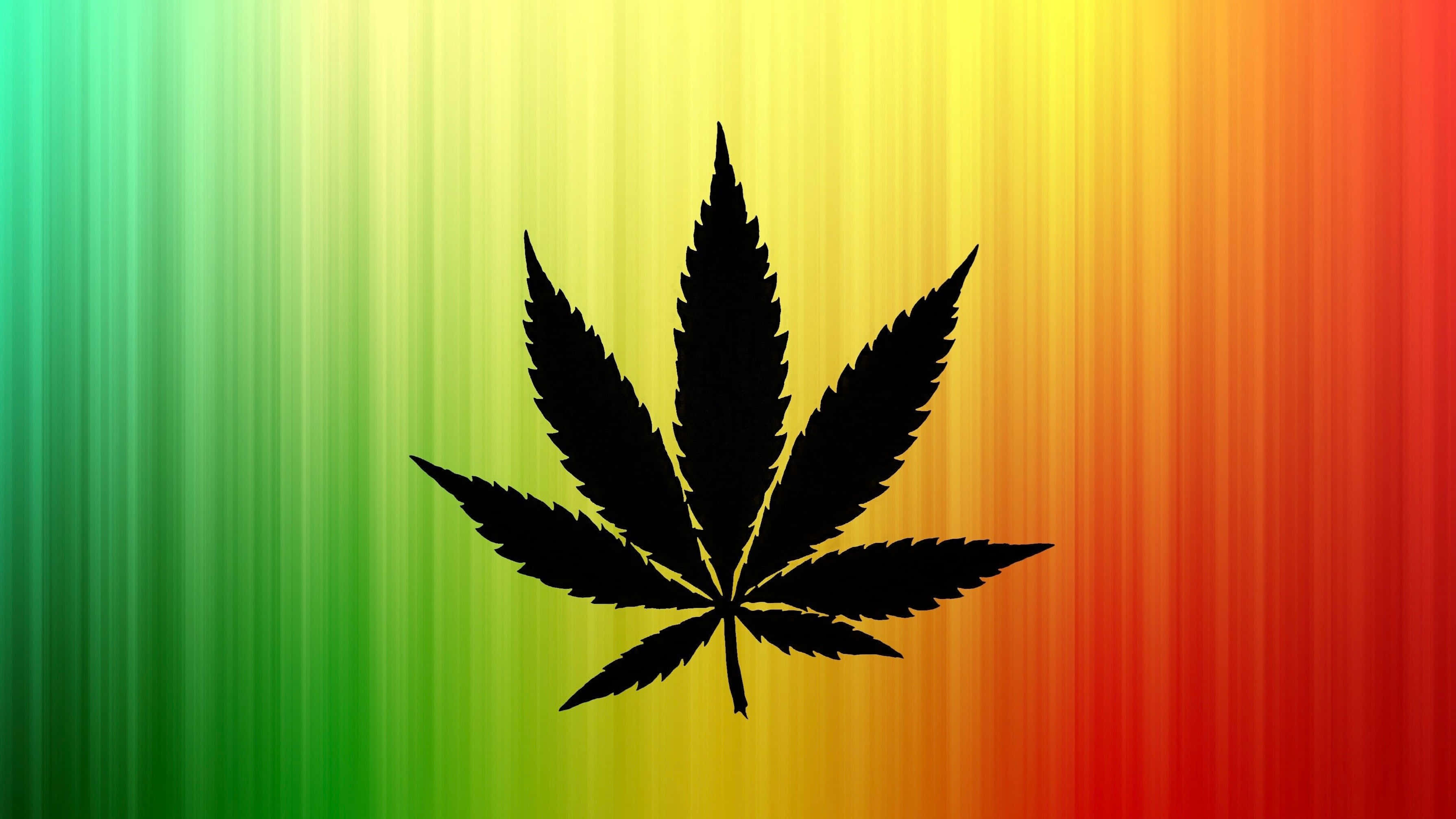 大麻 桌布 壁紙 — 一個大膽的黑色大麻葉剪影，置於從綠色到黃色再到紅色的鮮豔漸變背景中央。