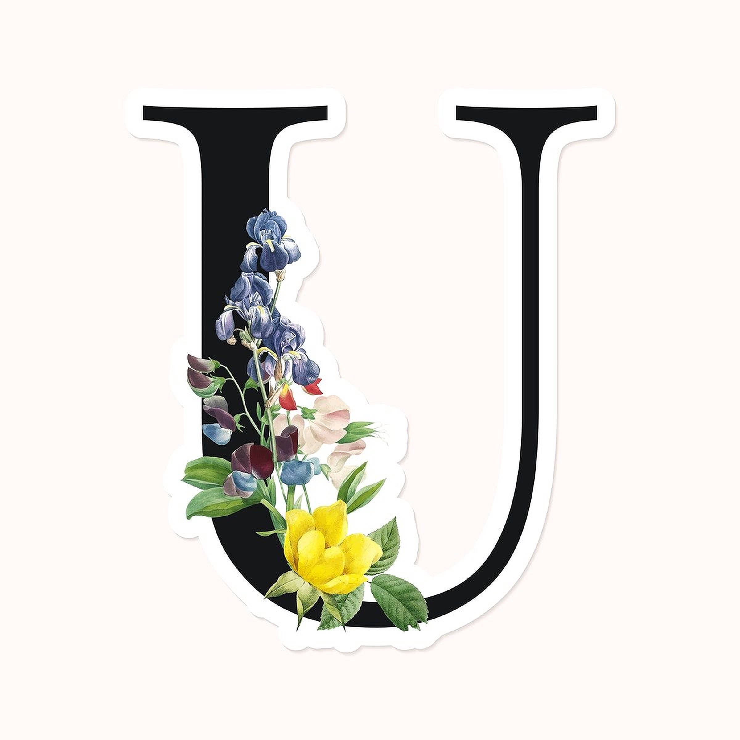 U 桌布 壁紙 — 一個大膽的黑色字母U，飾以藍色、黃色和粉紅色鮮花組成的鮮豔花卉佈置，襯以柔和的奶油色背景。