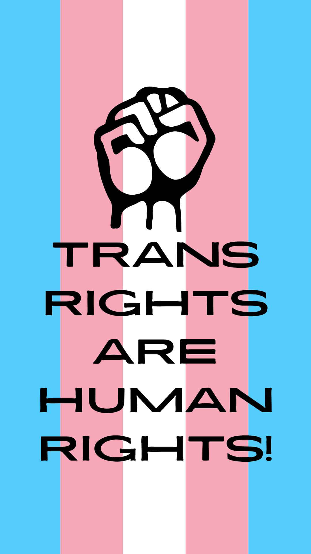 transgender 桌布 壁紙 — 一個大膽的黑色拳頭在粉紅、白色和藍色條紋上舉起，並帶有文字 trans rights are human rights！