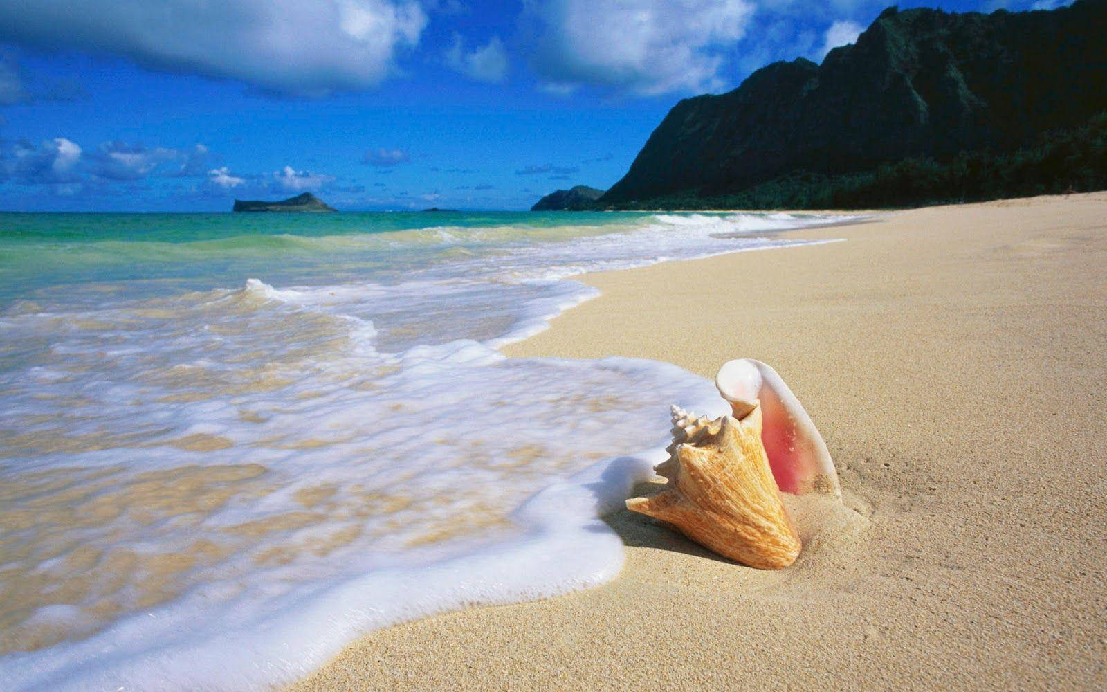 Beach Desktop 桌布 壁紙 — 一個大貝殼躺在金色的沙灘上，溫柔的海浪在明亮的藍天下翻滾，遠方有山脈。