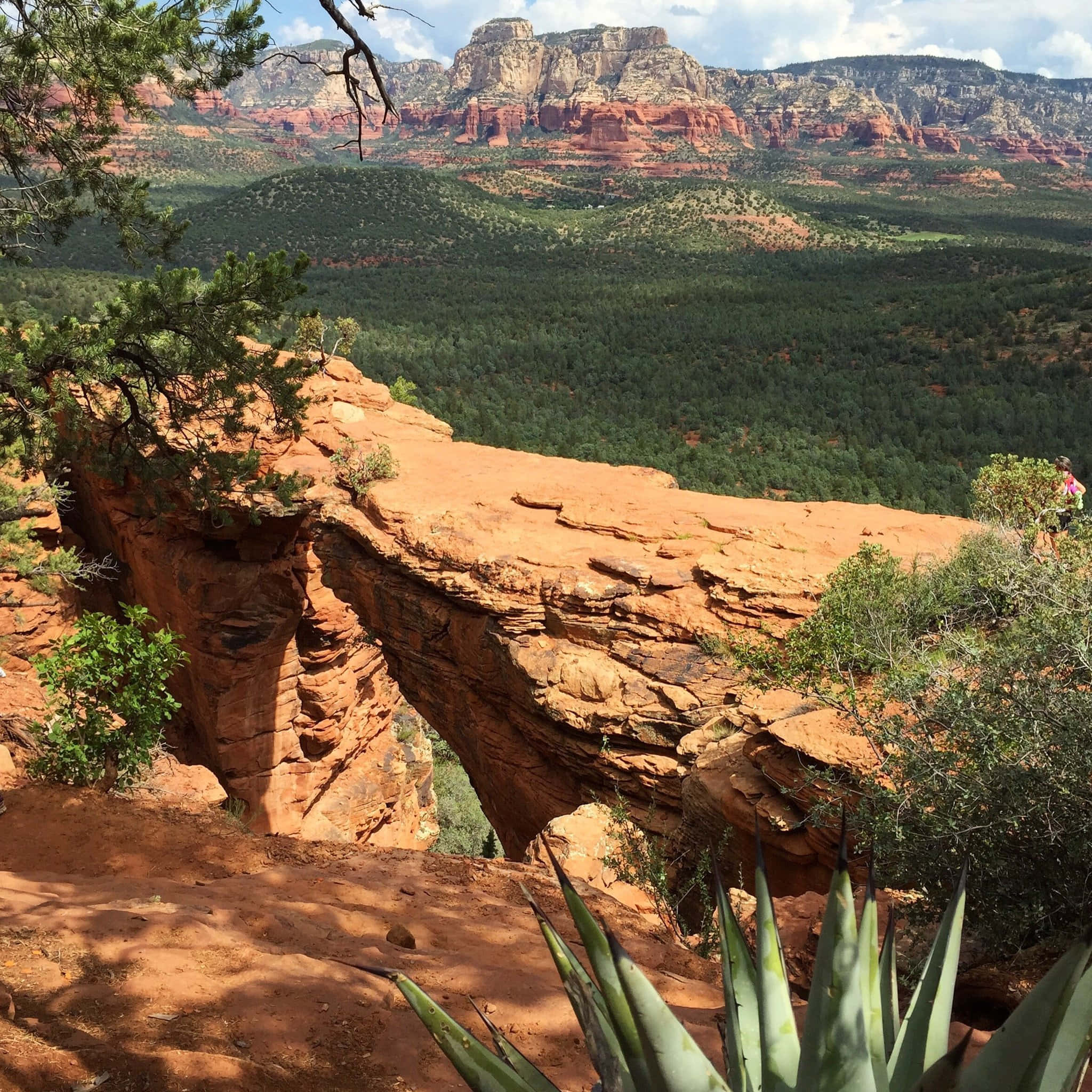 Sedona 桌布 壁紙 — 一個天然的紅色岩石拱門框住了一個廣闊的沙漠峽谷，其中有綠色森林和遠處的平頂山，天空部分多雲。