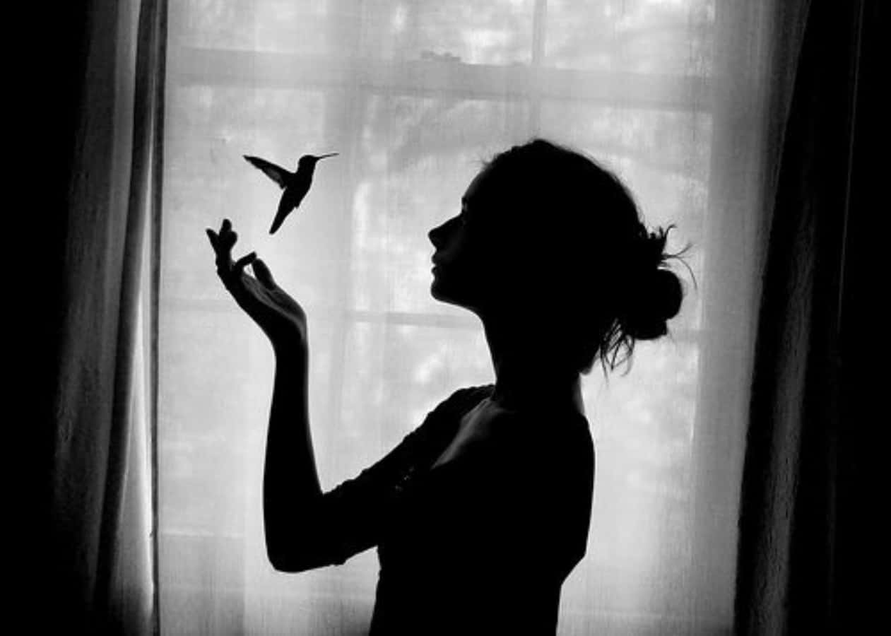 Silhouette 桌布 壁紙 — 一個女人的剪影，溫柔地伸手觸碰一隻在柔和光線窗邊盤旋的蜂鳥。