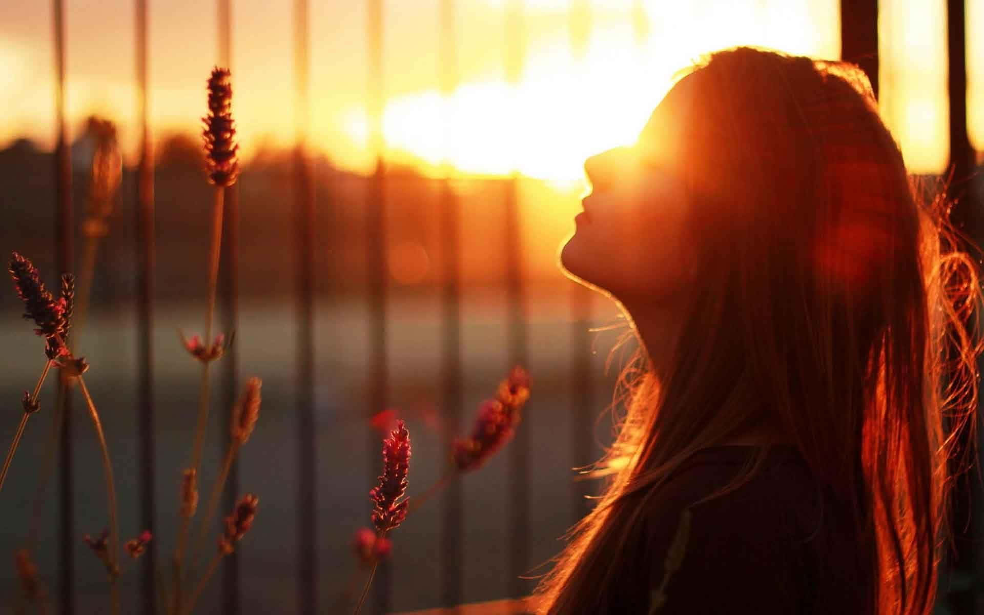 Lonely Girl 桌布 壁紙 — 一個女人的剪影向上凝視，金色的夕陽光線穿過垂直的欄杆和薰衣草花朵。