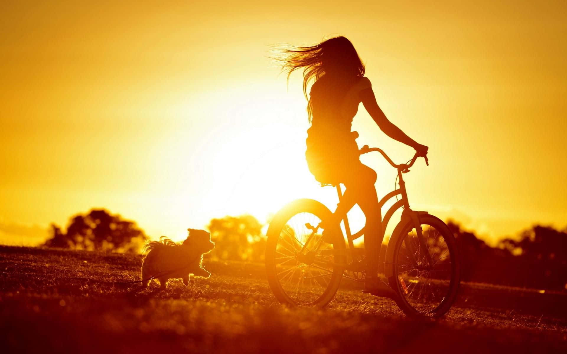 Contentment 桌布 壁紙 — 一個女人騎著腳踏車，一隻小狗在她旁邊奔跑，背景是金色的日落天空的剪影。