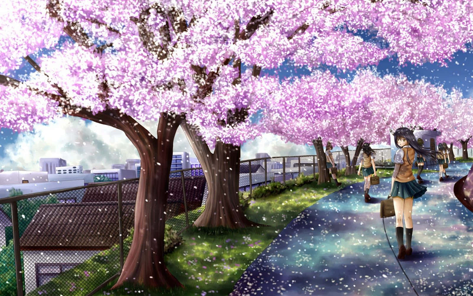 樹木 桌布 壁紙 — 一個女孩在陽光明媚的日子裡，走過城市公園中盛開的粉紅色櫻花樹下，花瓣飄落。