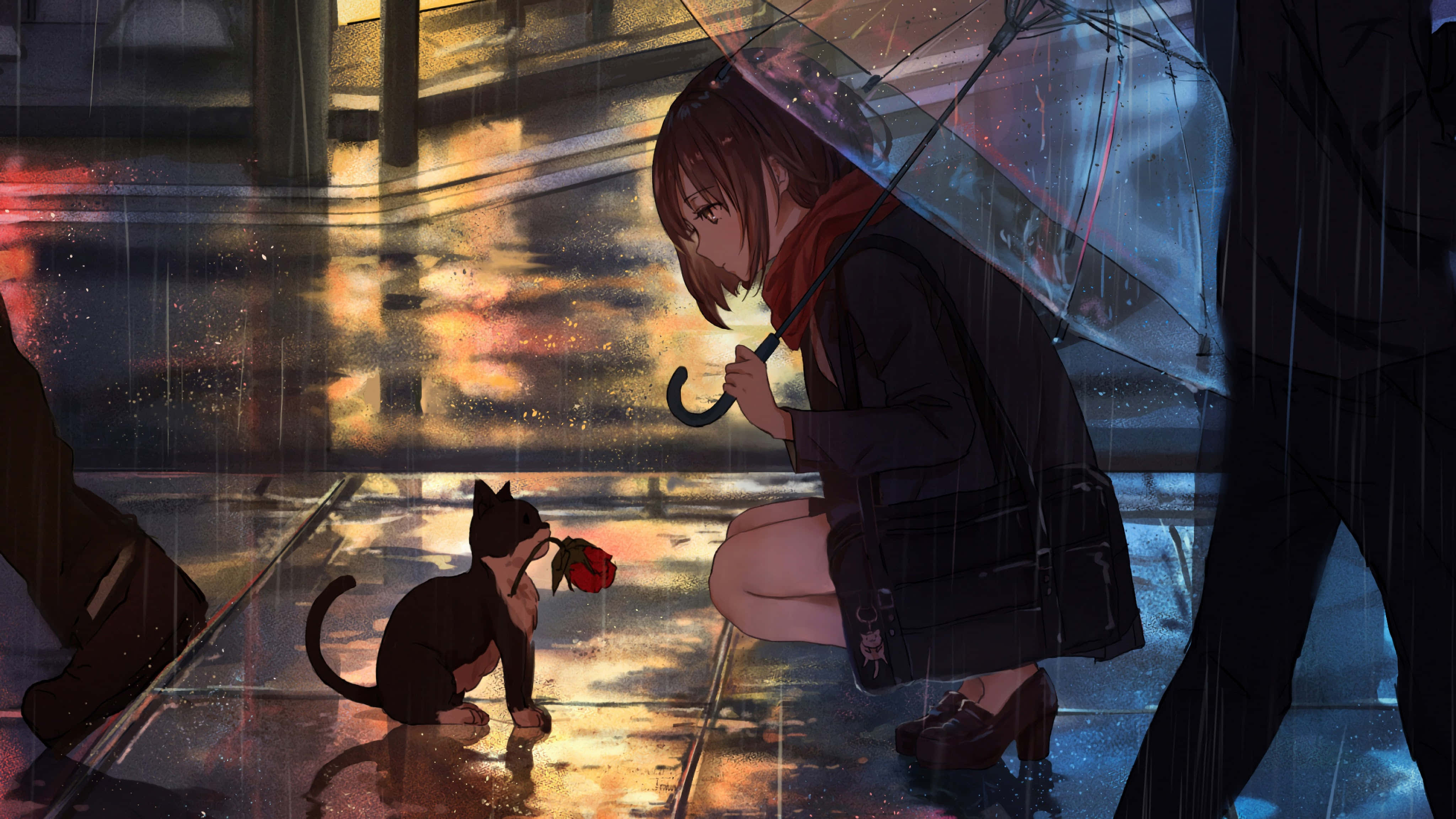 動漫貓 桌布 壁紙 — 一個女孩在雨中跪著撐傘，一隻小黑貓在濕漉漉的城市街道上遞給她一朵紅玫瑰。