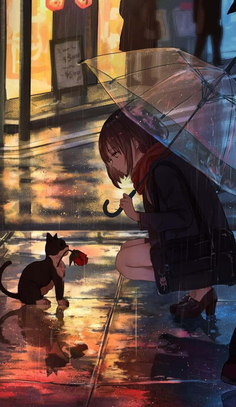 動漫女孩 桌布 壁紙 — 一個女孩在雨中跪著撐傘，一隻貓在潮濕的城市街道上夜晚遞給她一朵紅玫瑰。