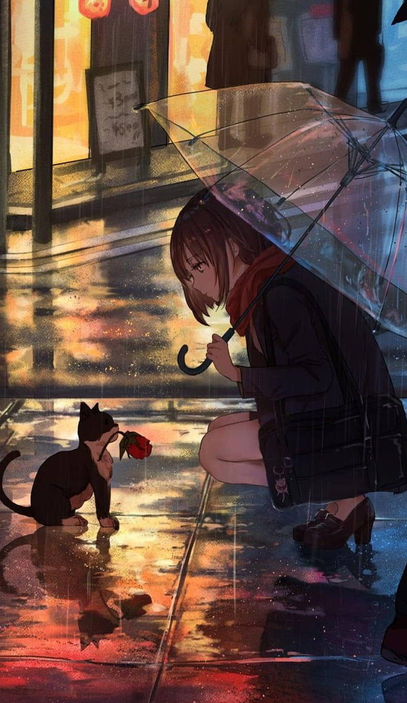 動漫女孩 桌布 壁紙 — 一個女孩在雨中跪著撐傘，一隻黑貓在潮濕的城市街道上夜晚遞給她一朵紅玫瑰。