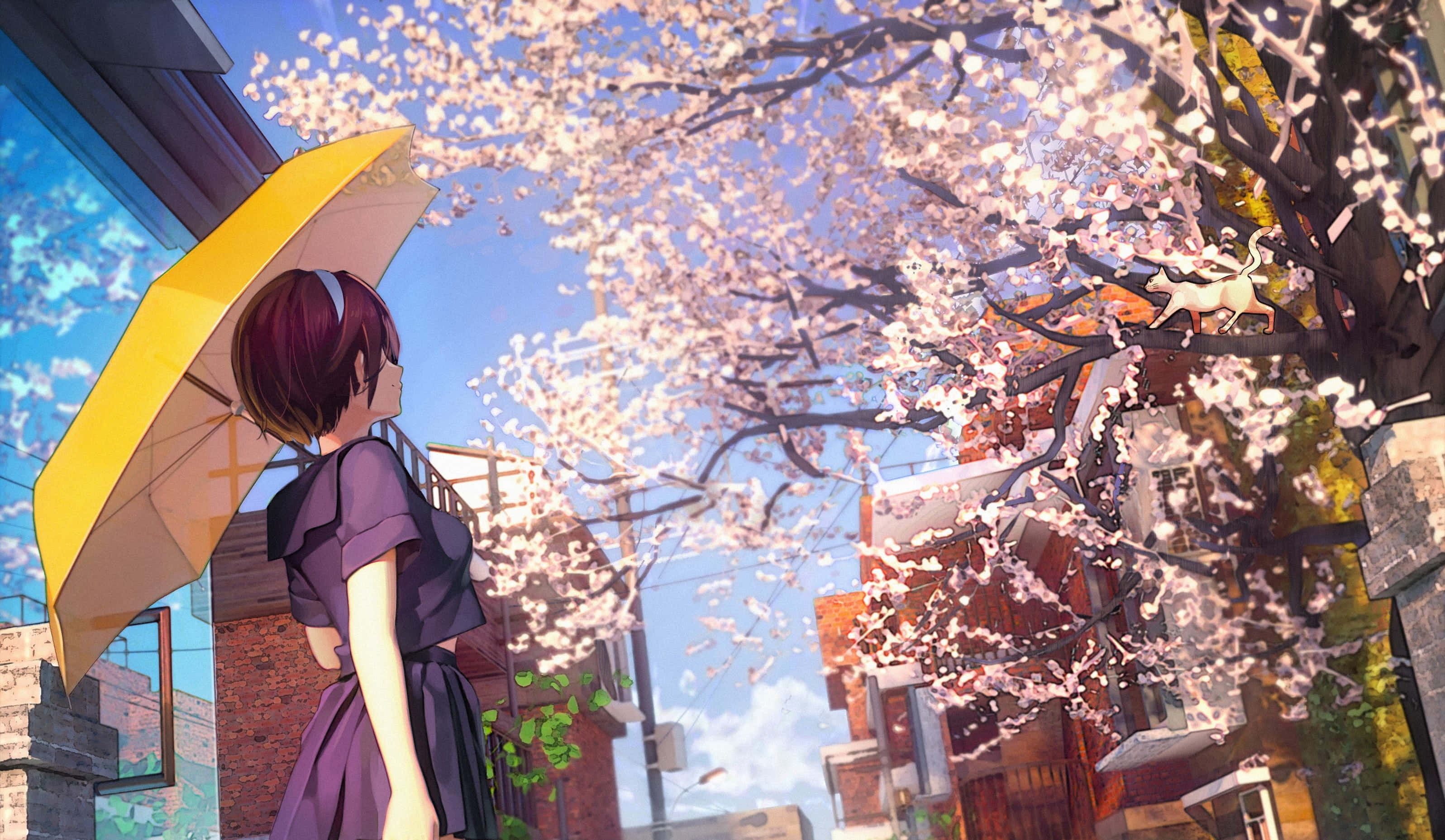 Anime Cherry Blossom 桌布 壁紙 — 一個女孩拿著黃色雨傘，在陽光明媚的城市小巷中走在盛開的櫻花下。