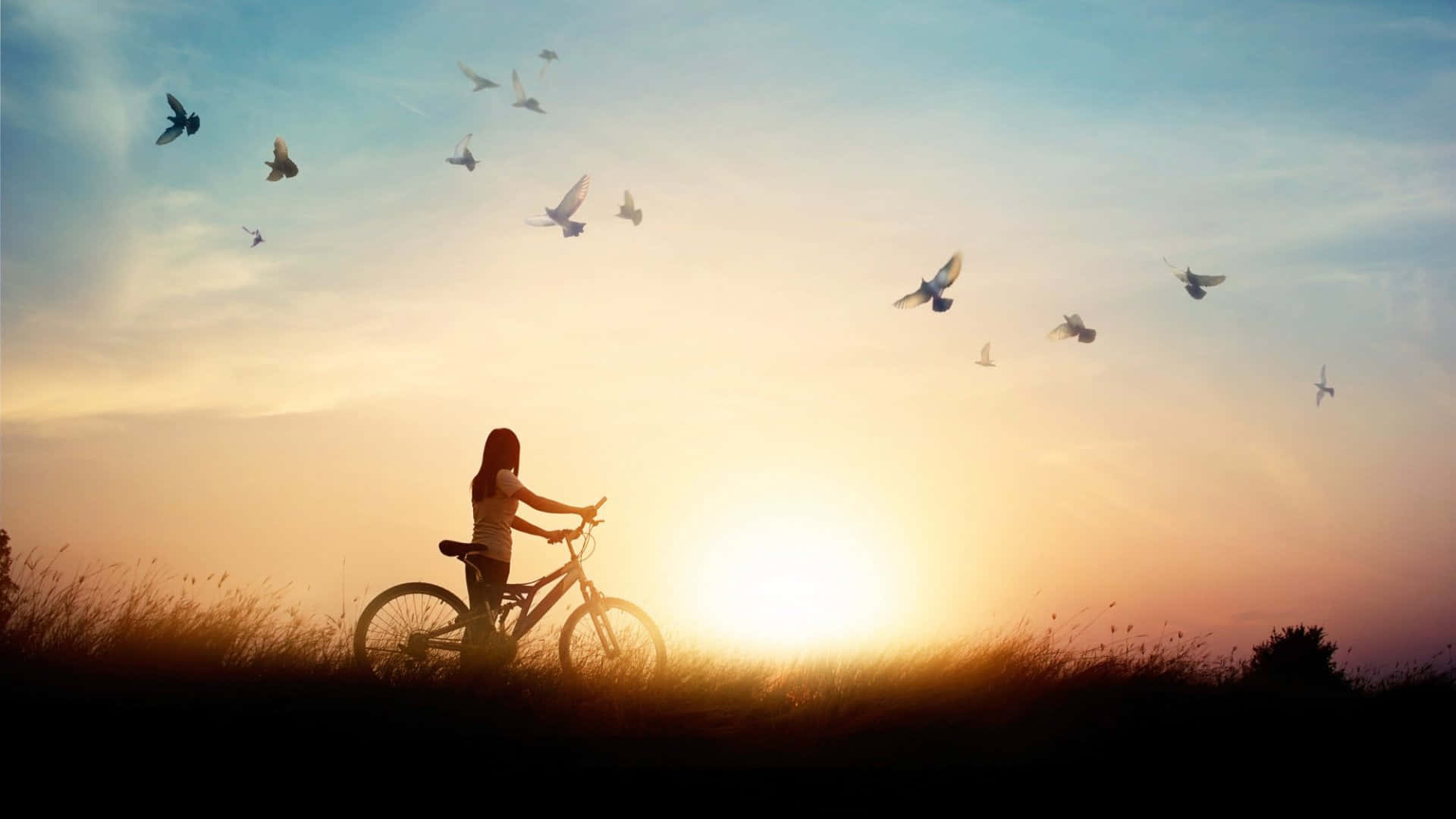 Alone 桌布 壁紙 — 一個女孩騎著腳踏車的剪影，鳥兒在金色夕陽天空中飛翔。