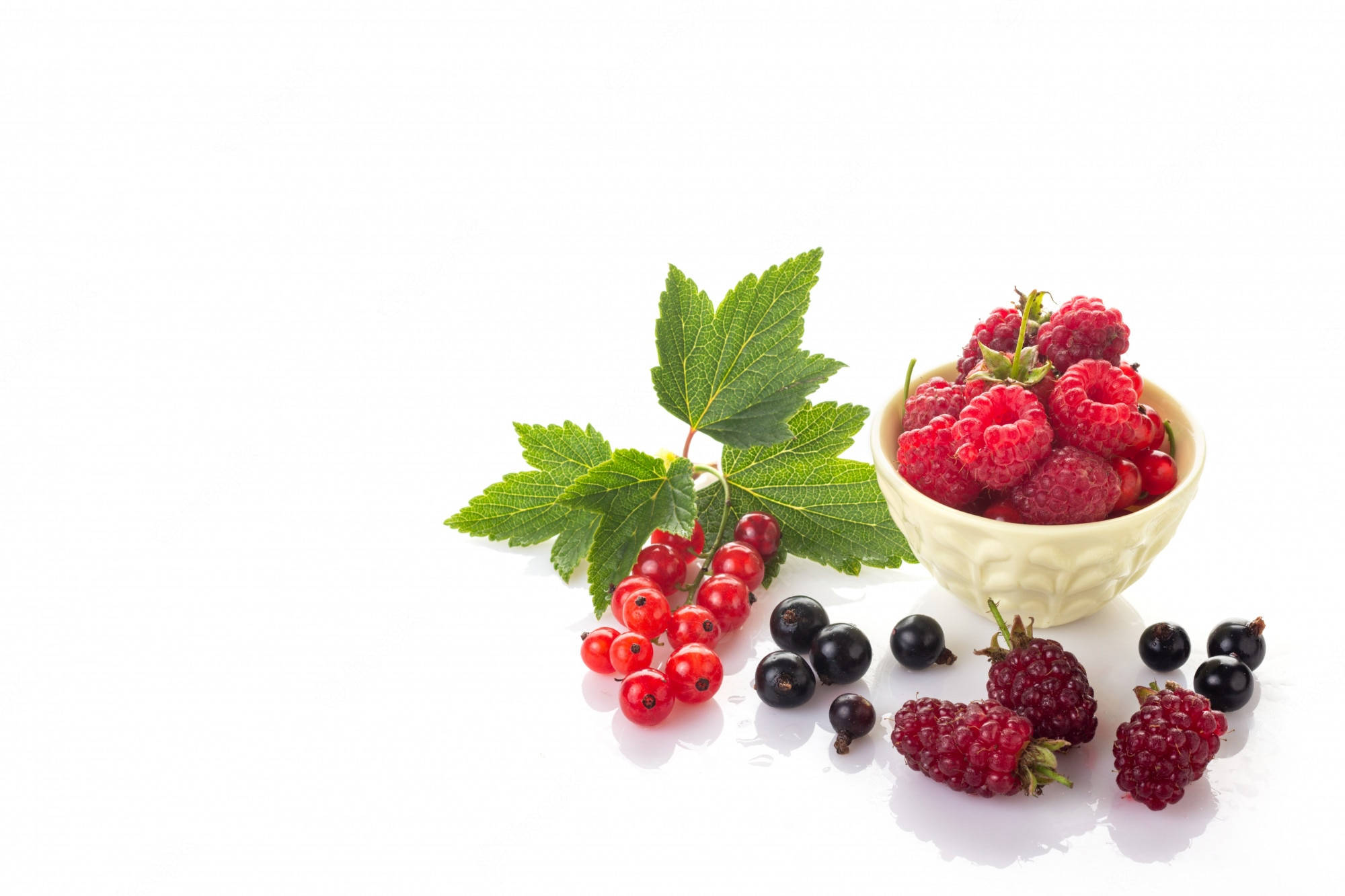 Berry 桌布 壁紙 — 一個奶油碗裝滿新鮮覆盆子，周圍環繞著紅醋栗、黑醋栗和鮮綠葉子，放在純白表面上。