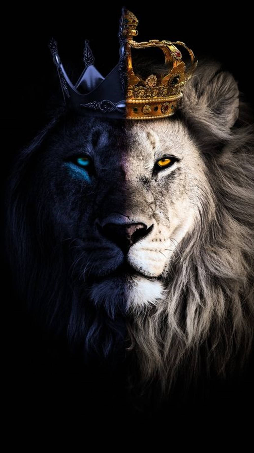 Lion King 桌布 壁紙 — 一個威嚴的獅子臉孔從中間分裂，一半戴著金色皇冠，另一半戴著銀色皇冠，背景為黑色。