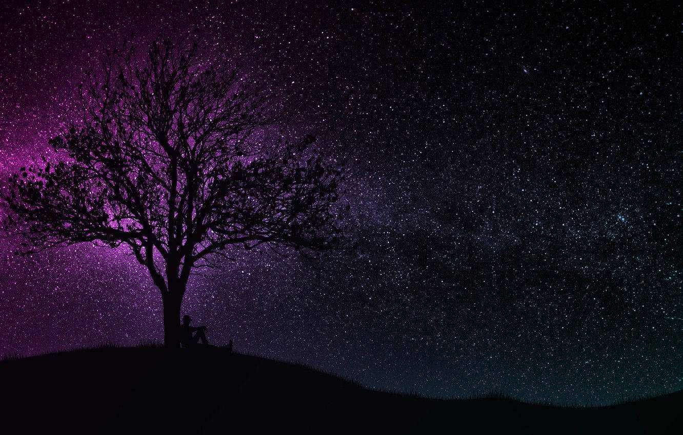 Stars 桌布 壁紙 — 一個孤獨的人坐在山丘上光禿禿的樹下，背景是充滿活力的紫色和藍色星空夜景。