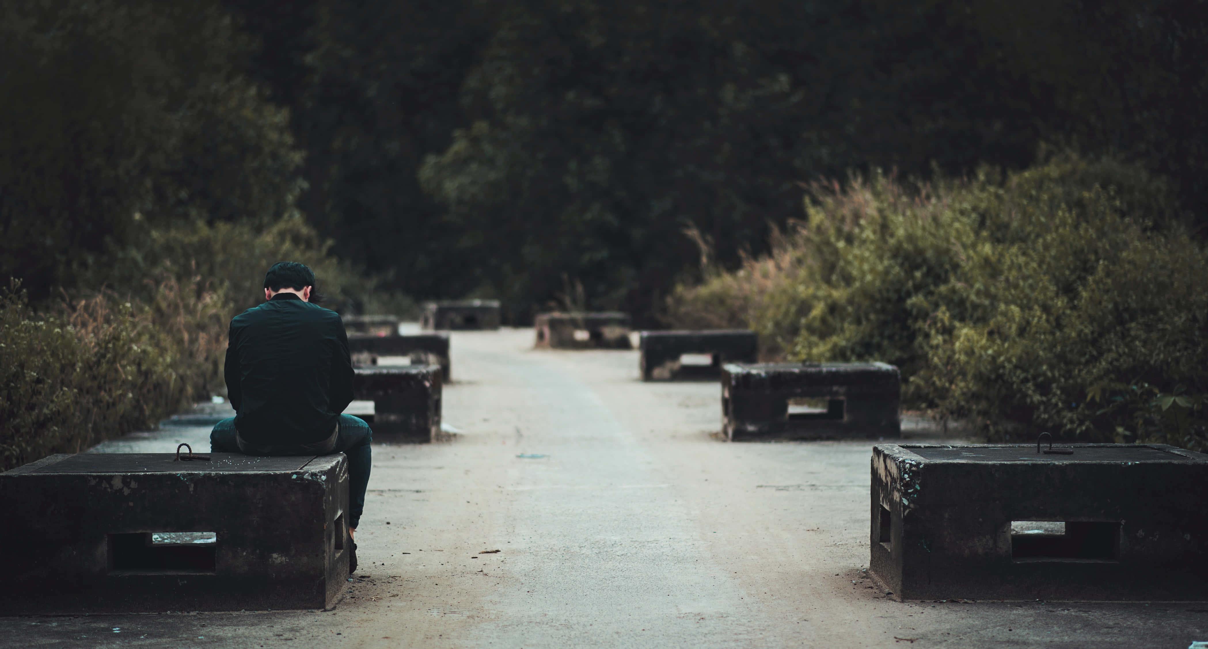 Alone Boy 桌布 壁紙 — 一個孤獨的人坐在混凝土塊上，沿著一條安靜、雜草叢生的小路，兩旁是茂密的綠植，在昏暗的自然光下。