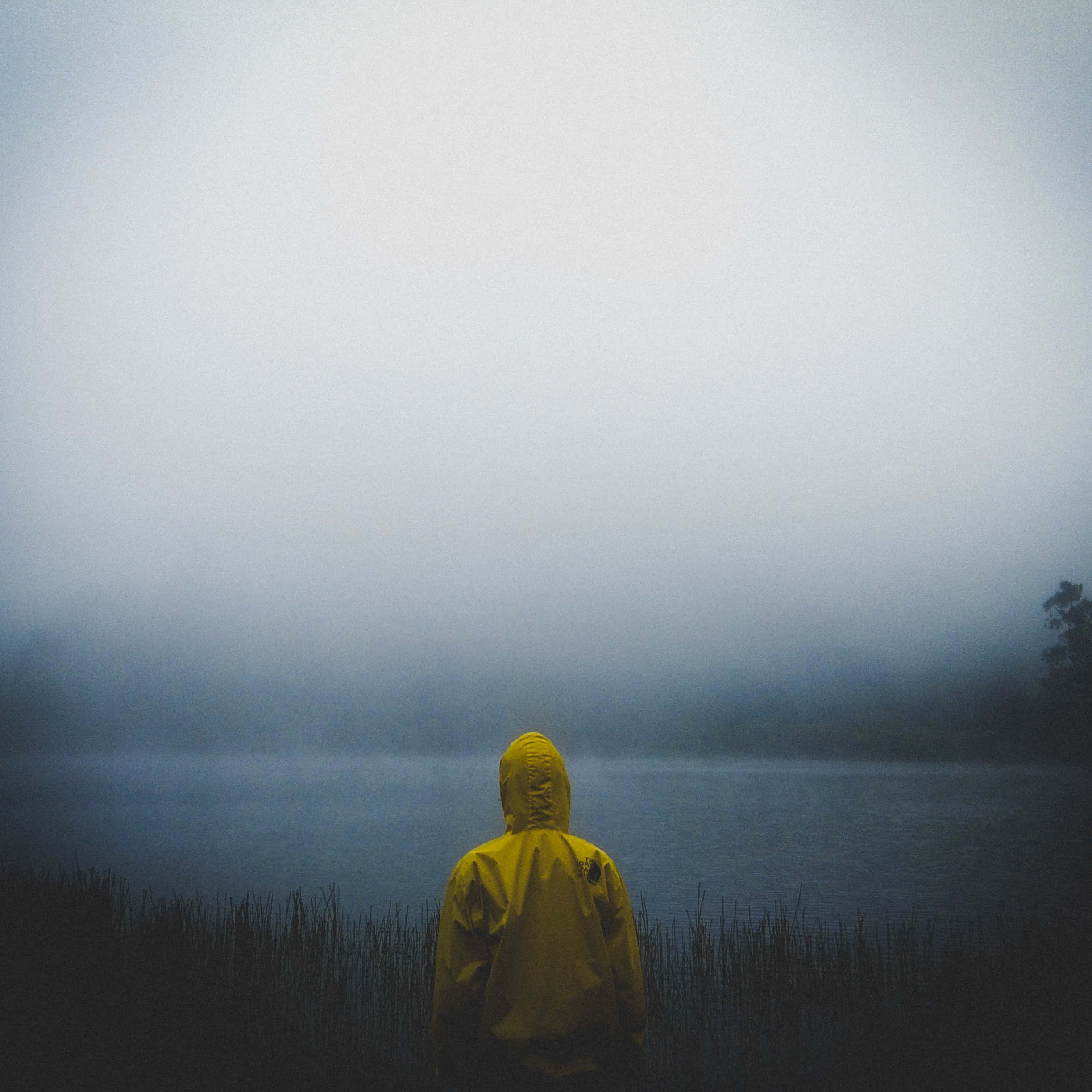 獨自一人 桌布 壁紙 — 一個孤獨的人穿著亮黃色雨衣，站在霧氣瀰漫的湖邊，面對著陰天。