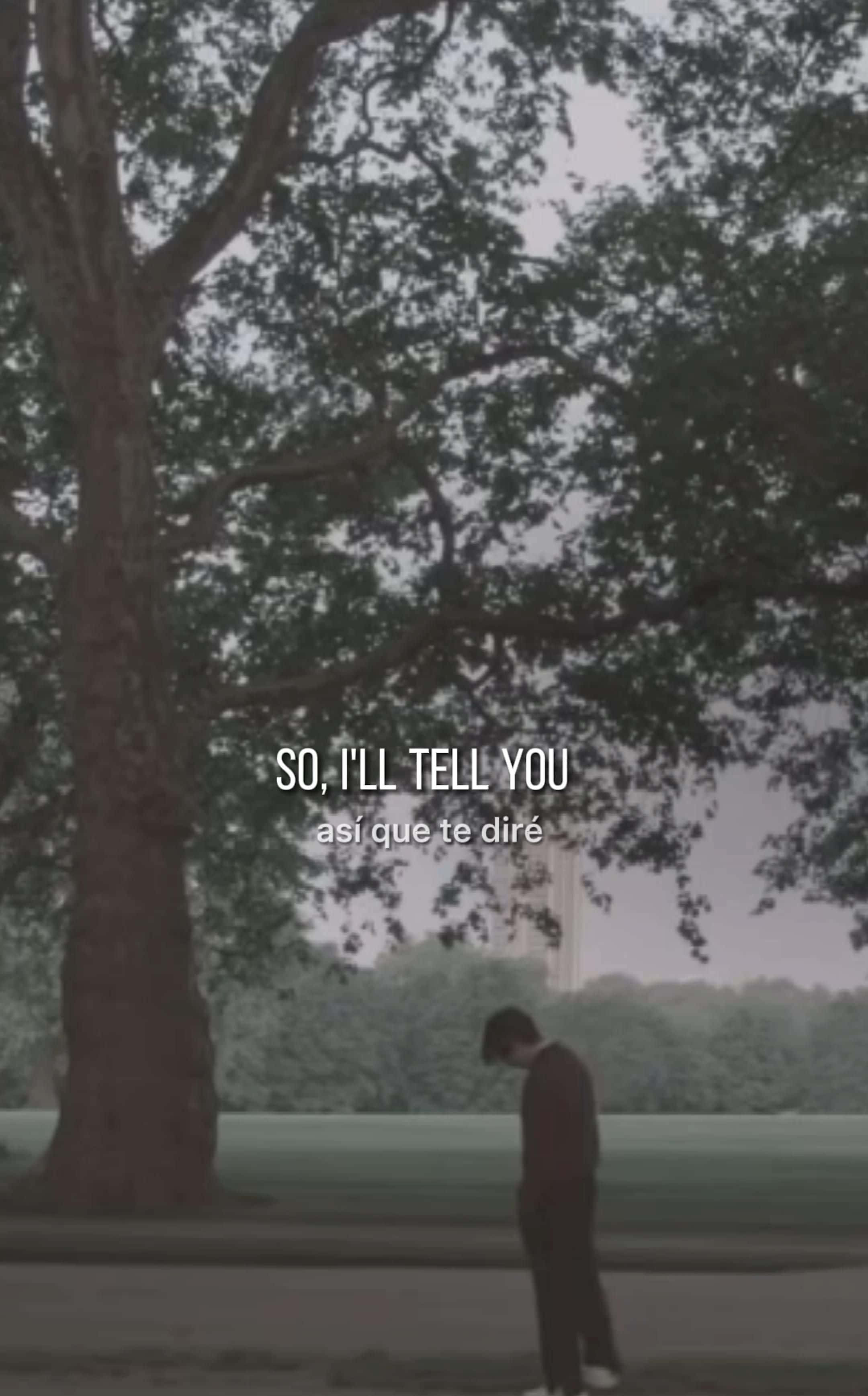 Bts Lyrics 桌布 壁紙 — 一個孤獨的人站在公園的大樹下，低著頭，文字覆蓋在迷霧場景上。