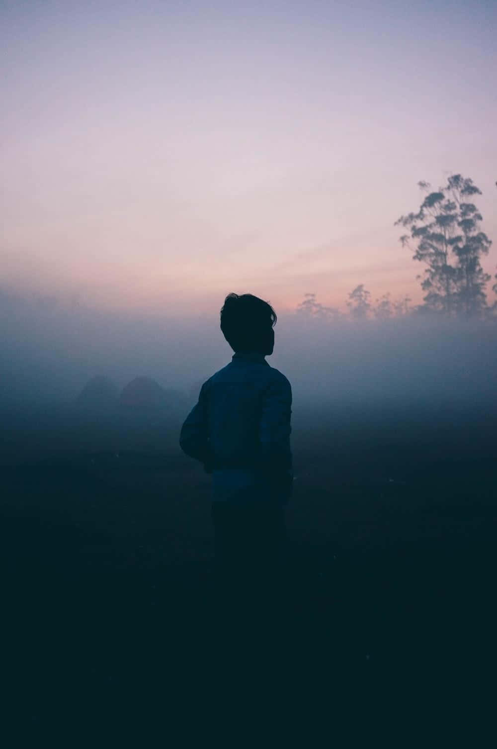 Silhouette 桌布 壁紙 — 一個孤獨的人站在霧氣籠罩的暮色中，凝視著柔和的紫色和粉紅色天空，遠處有樹木。