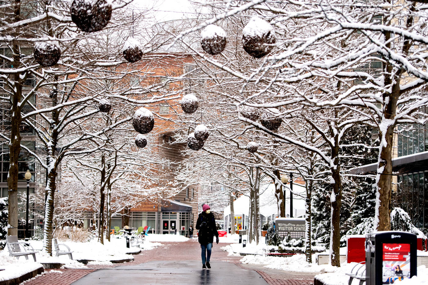 雪 桌布 壁紙 — 一個孤獨的人走在白雪覆蓋的城市小徑上，兩旁是掛滿雪和大型懸掛裝飾的禿樹。