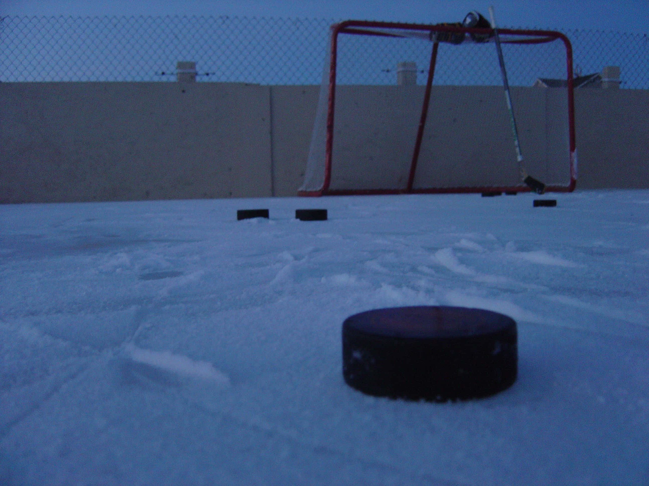 hockey 桌布 壁紙 — 一個孤獨的冰球躺在雪地上，前面是紅色的球門網，背景是黃昏的天空。