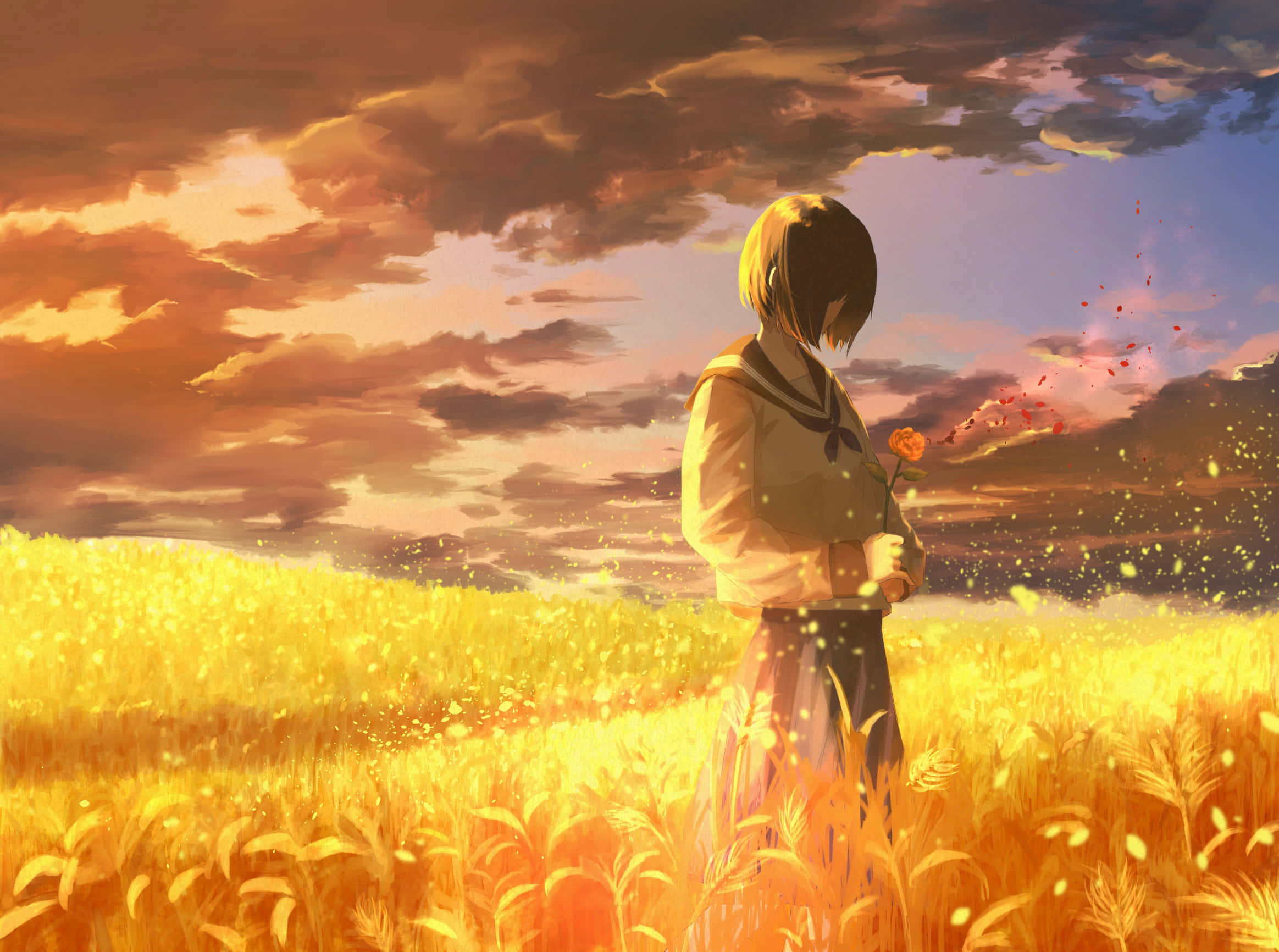 Anime Sunset 桌布 壁紙 — 一個孤獨的動漫女孩穿著校服，站在夕陽下的金色麥田裡，手持一朵花，花瓣在她周圍飄舞。