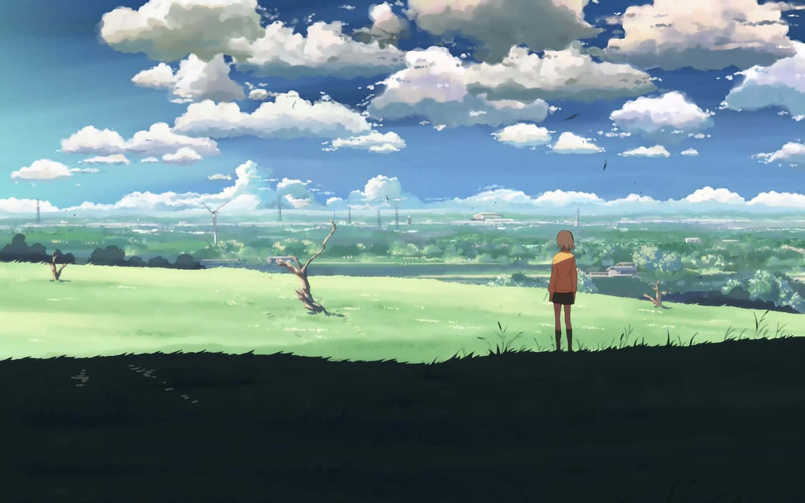 Beautiful Anime Scenery 桌布 壁紙 — 一個孤獨的動漫女孩穿著橙色外套，站在長滿草的山丘上，俯瞰著廣闊的綠色山谷，天空湛藍，白雲蓬鬆。